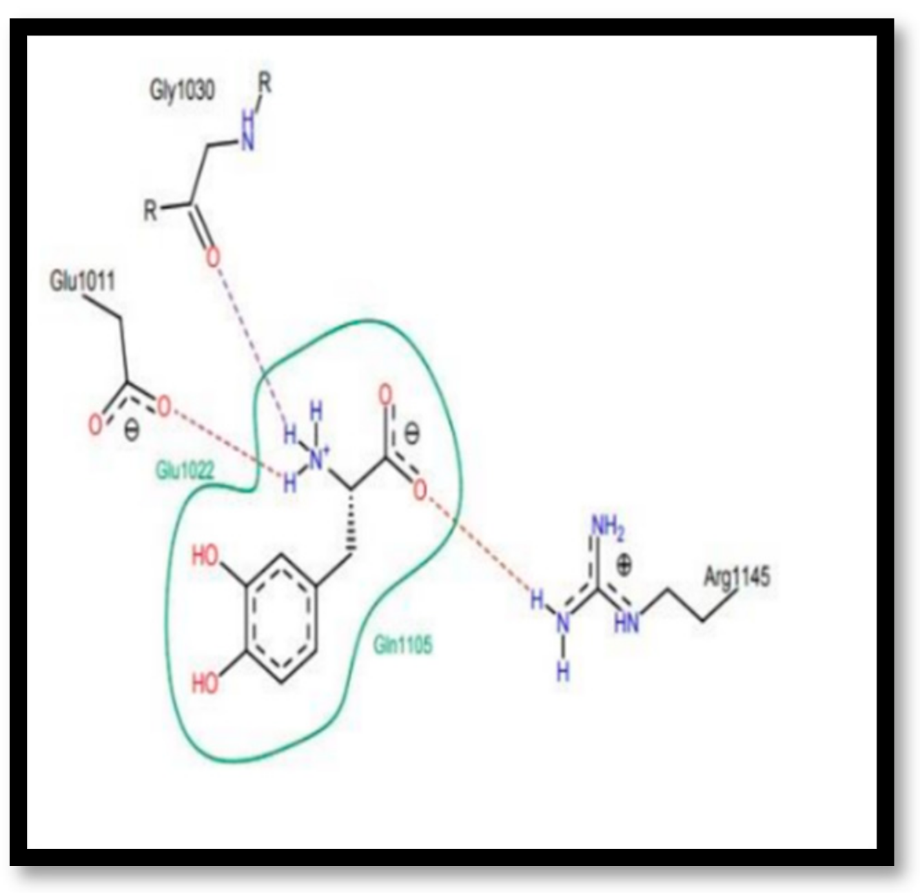 Chemproc 14 00101 g004