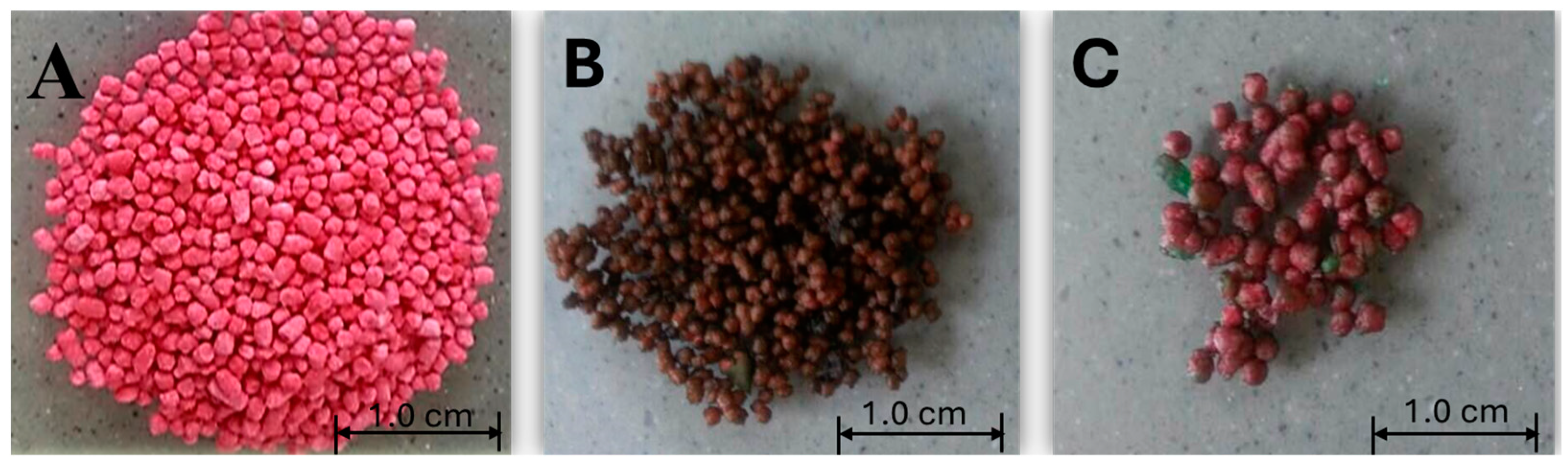 Chemproc 16 00006 g001