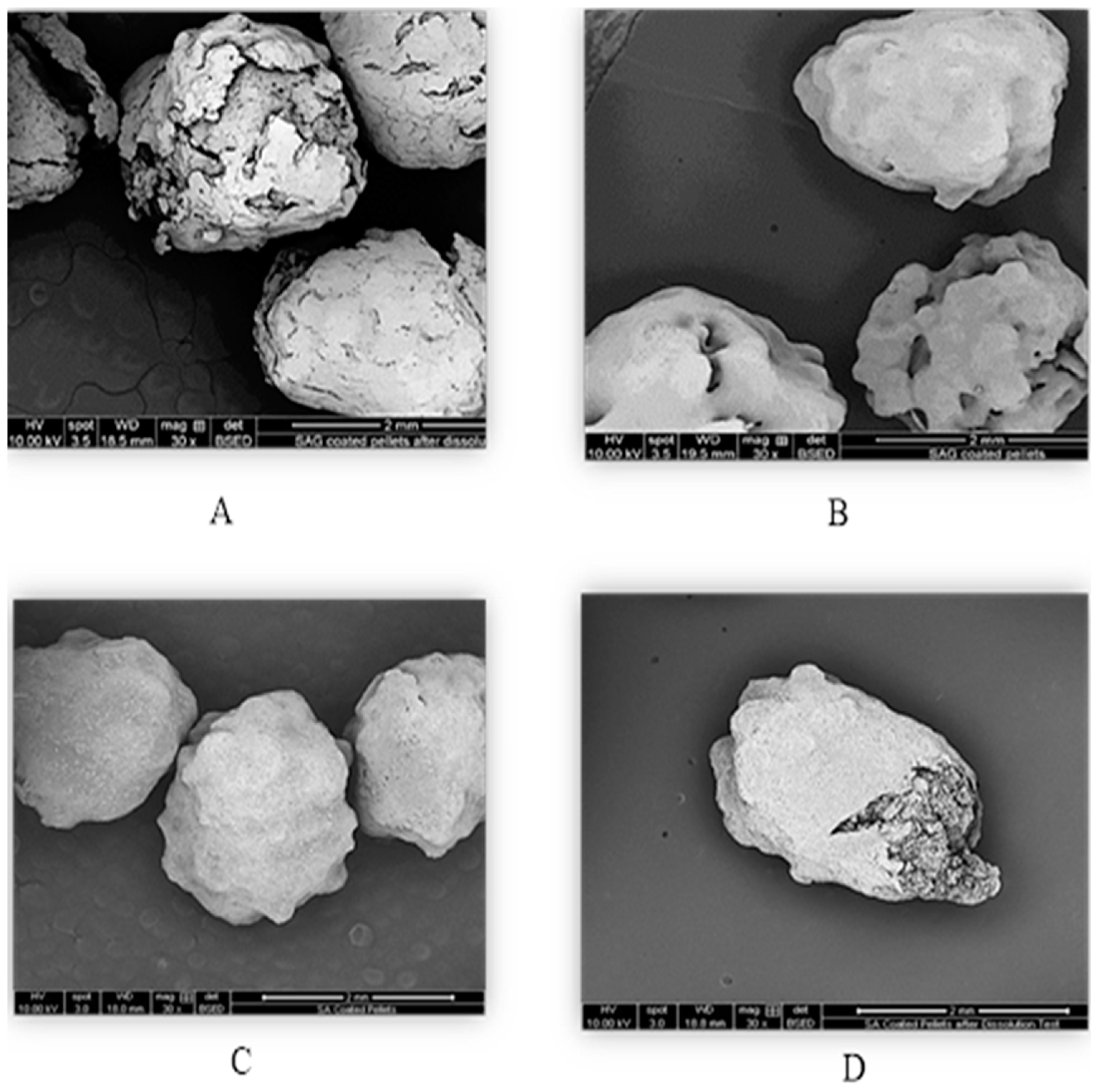 Chemproc 16 00006 g005