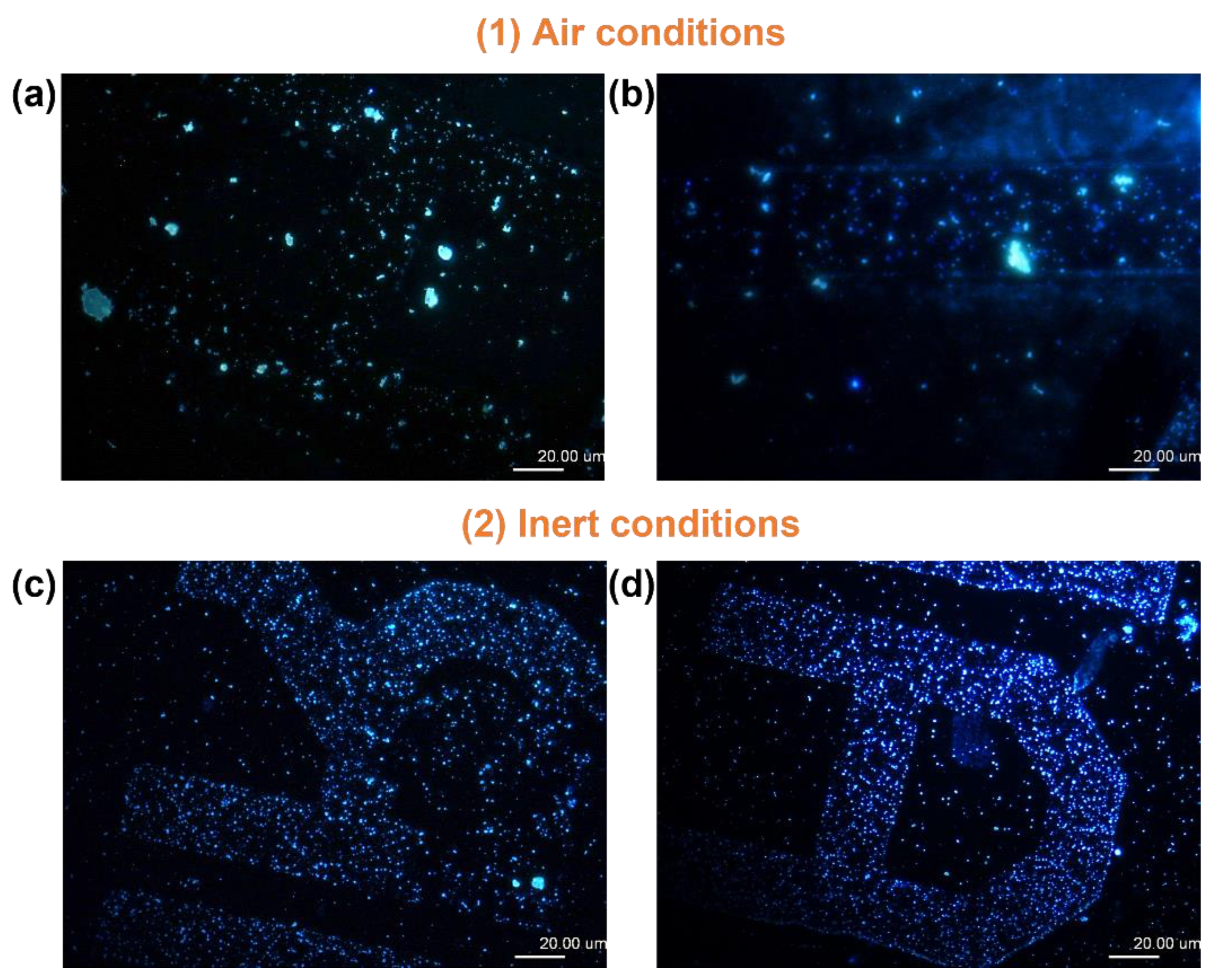 Chemproc 16 00021 g002 Chemproc 16 00021 g002