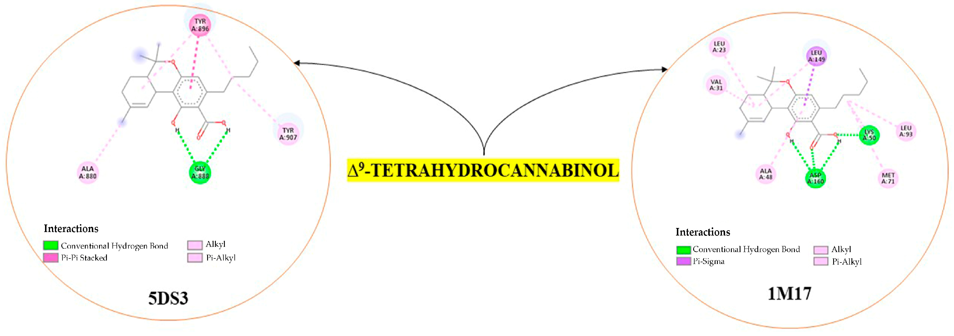 Chemproc 16 00047 g001