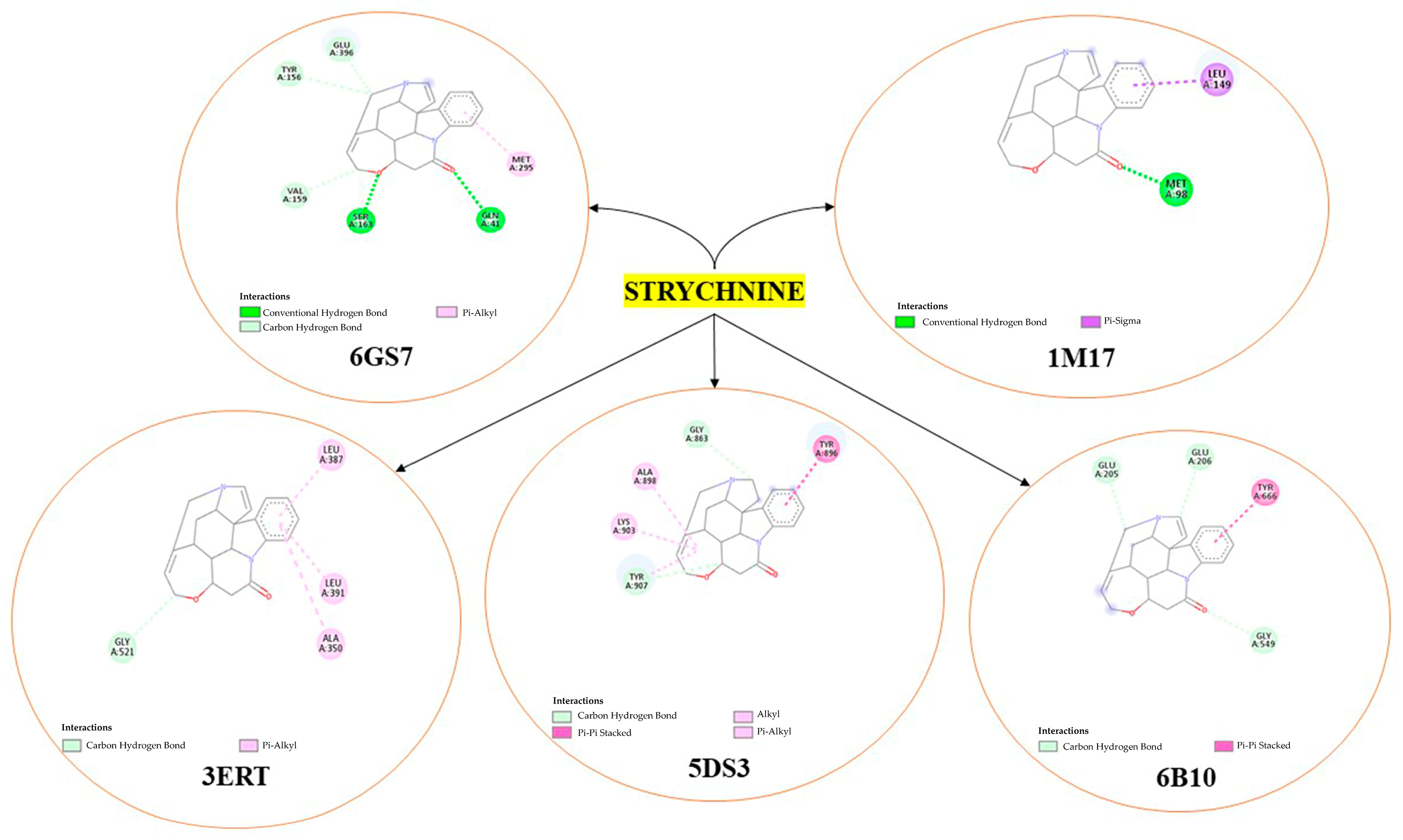 Chemproc 16 00047 g003