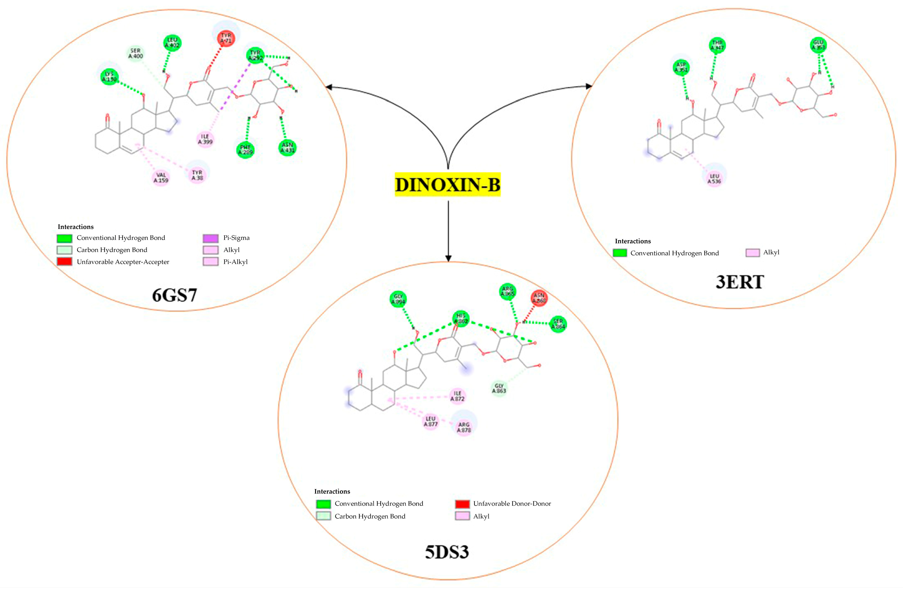 Chemproc 16 00047 g004