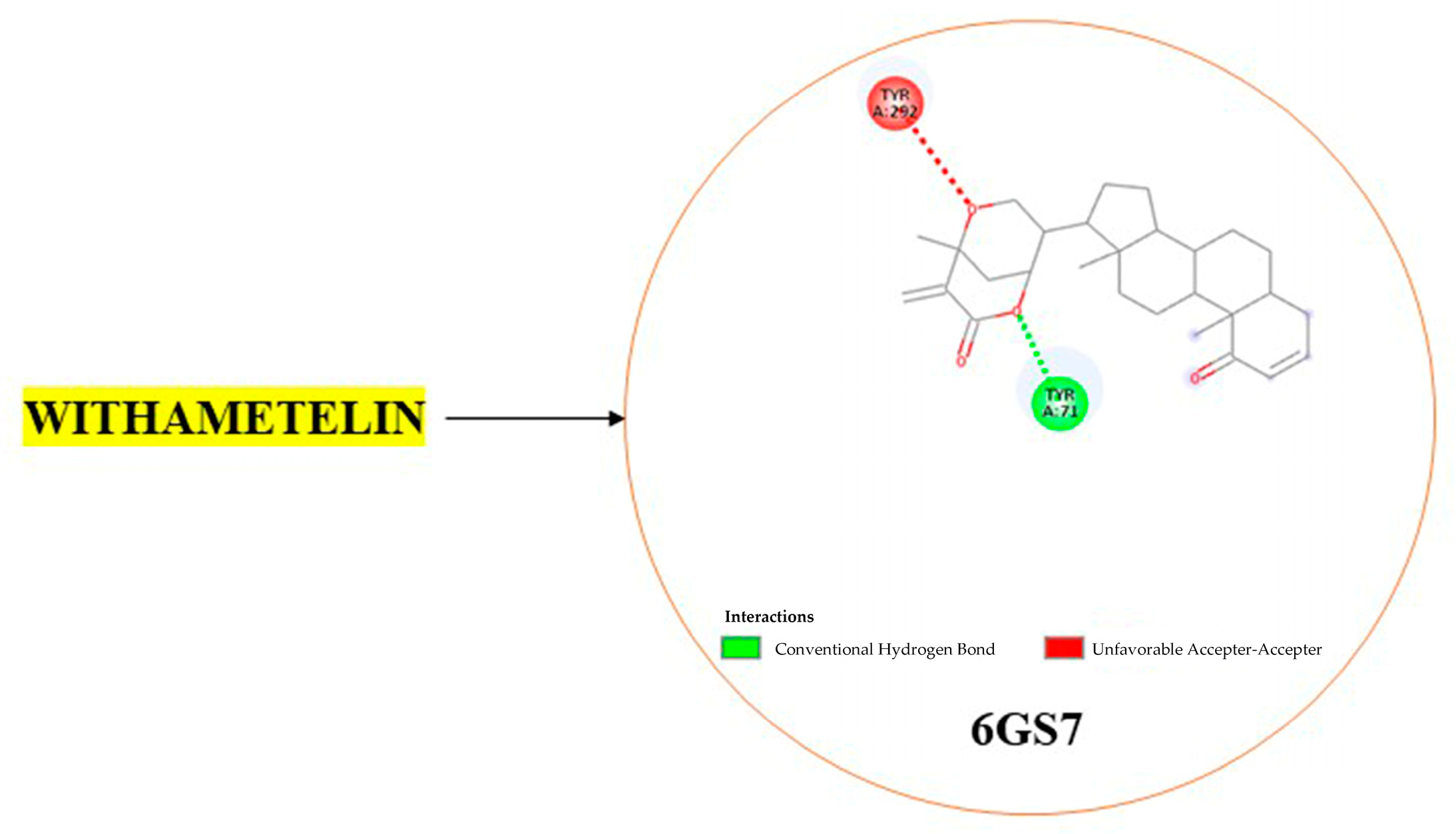 Chemproc 16 00047 g005