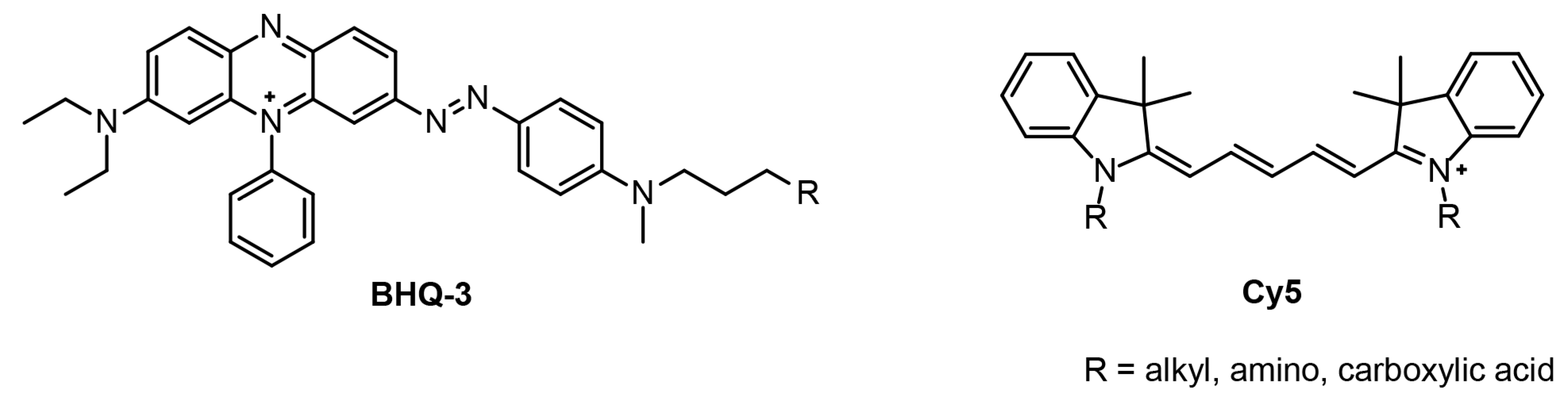 Chemproc 16 00048 g001
