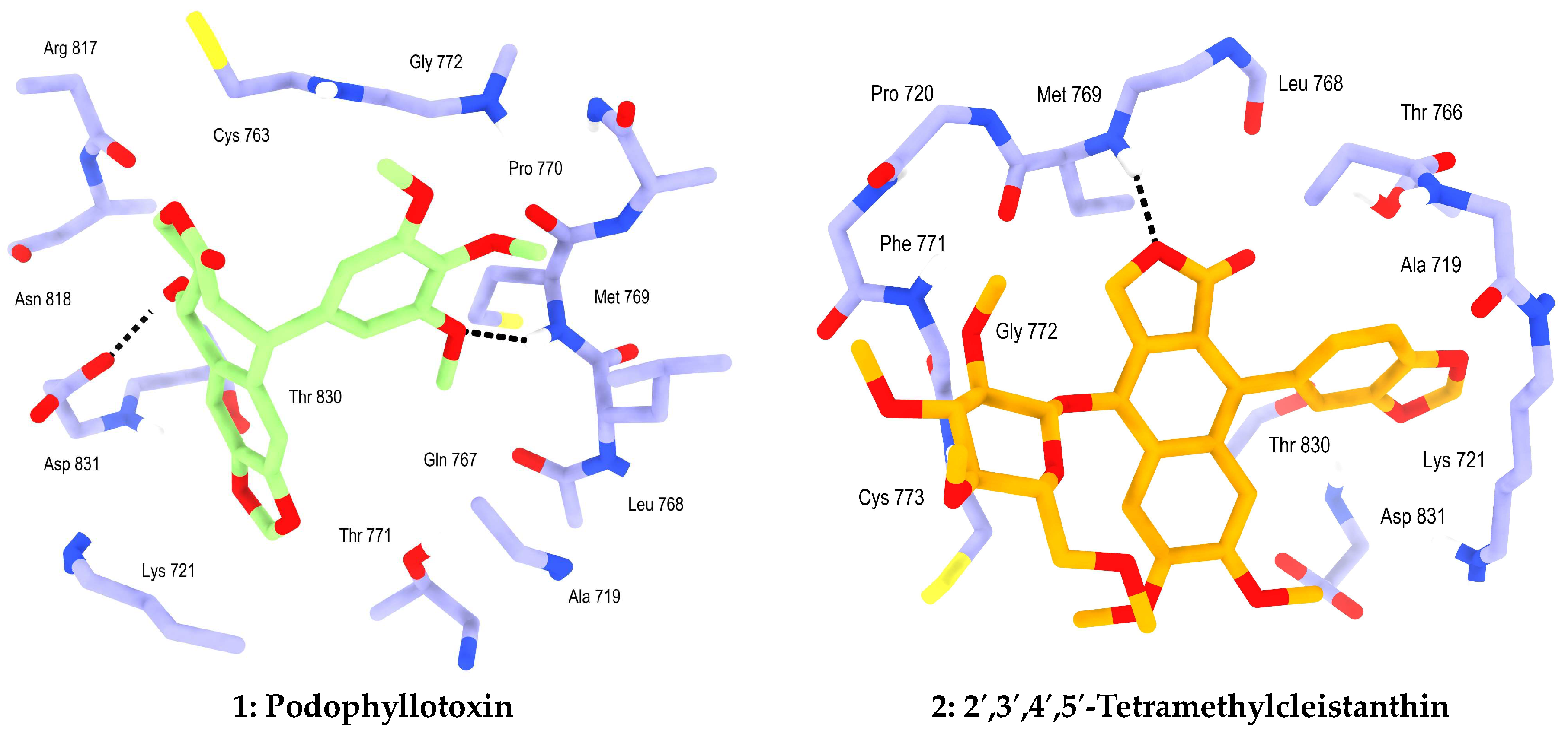 Chemproc 16 00054 g001