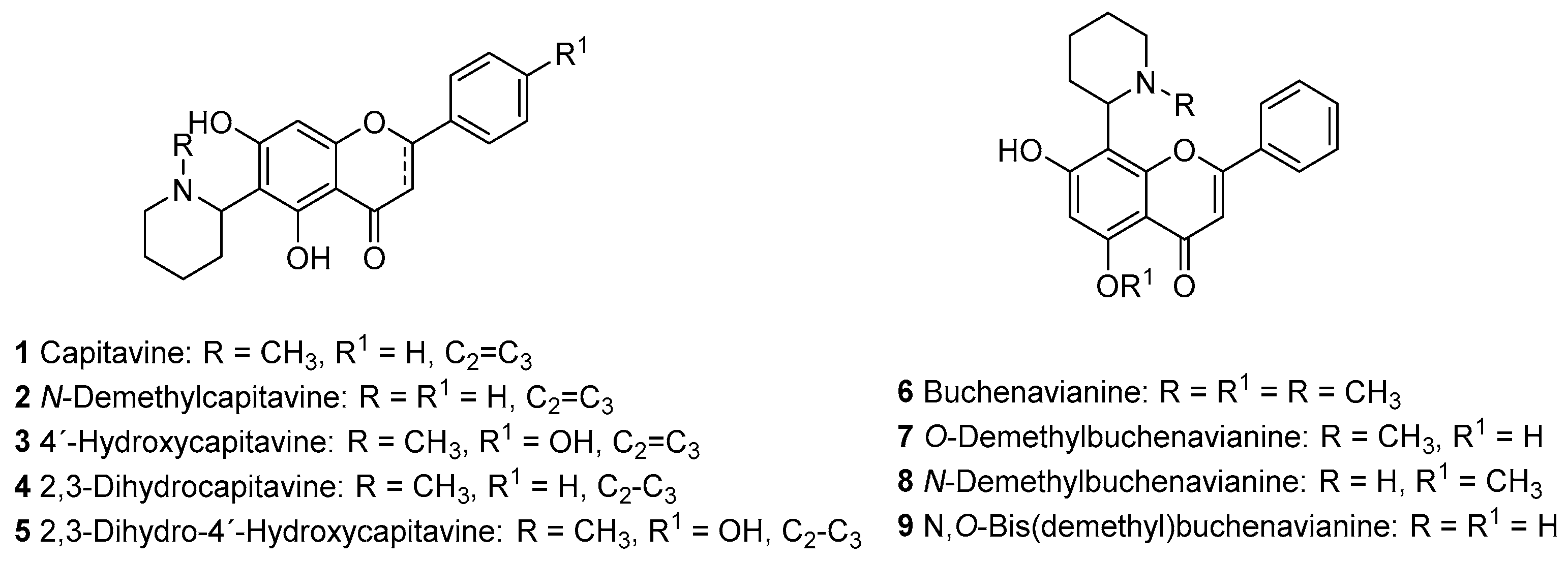 Chemproc 16 00055 g001