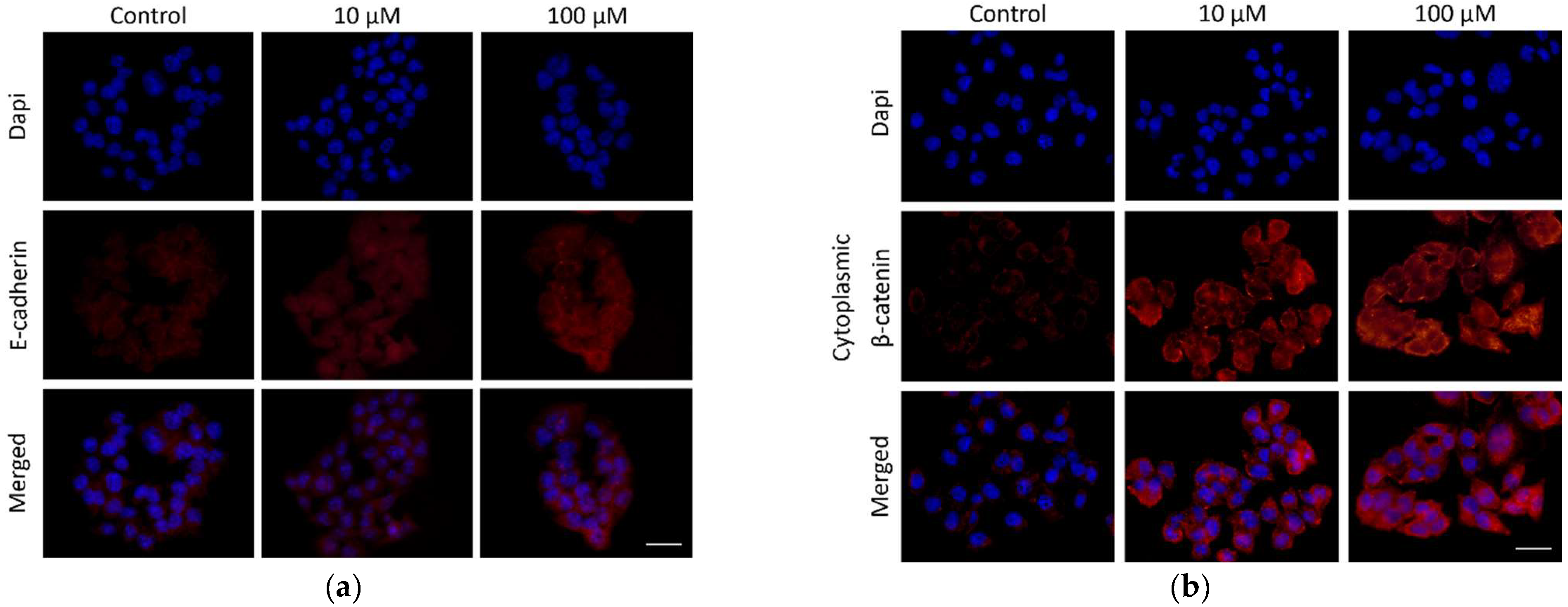 Chemproc 16 00058 g003