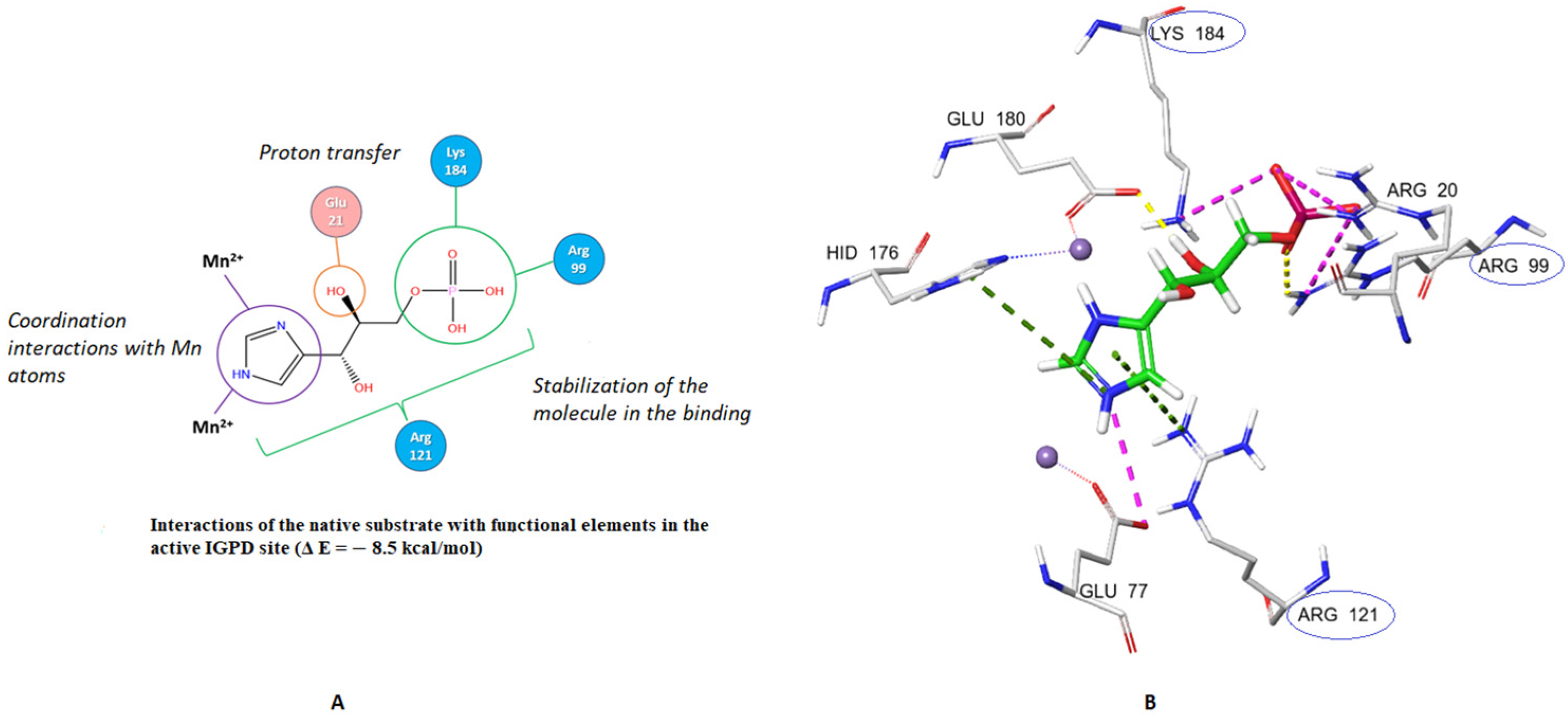 Chemproc 16 00067 g002