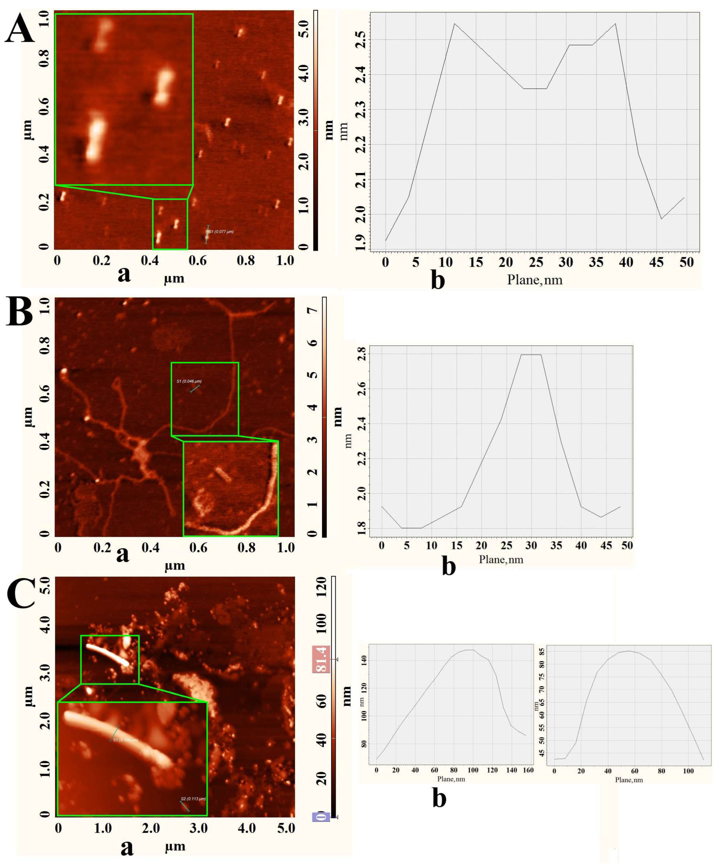 Chemproc 16 00073 g002