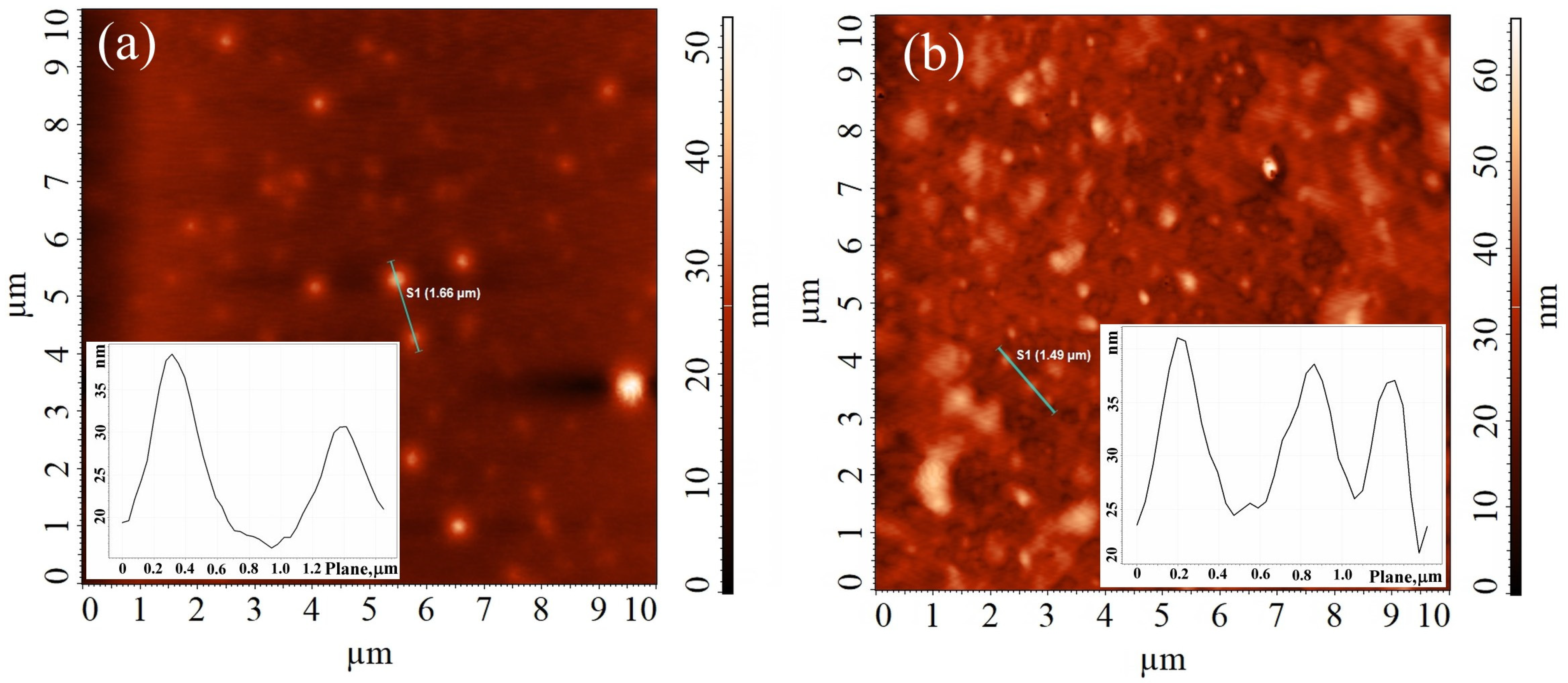 Chemproc 16 00074 g001