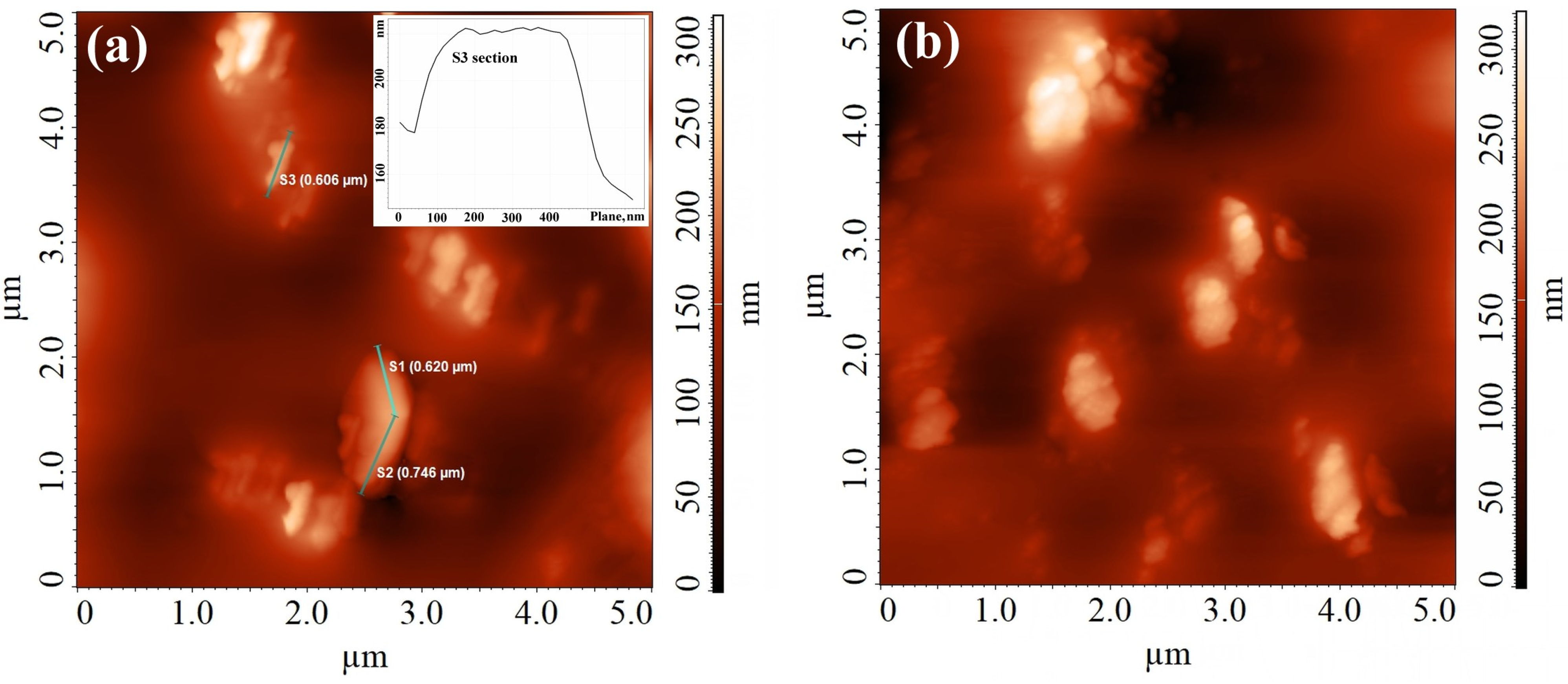 Chemproc 16 00074 g002