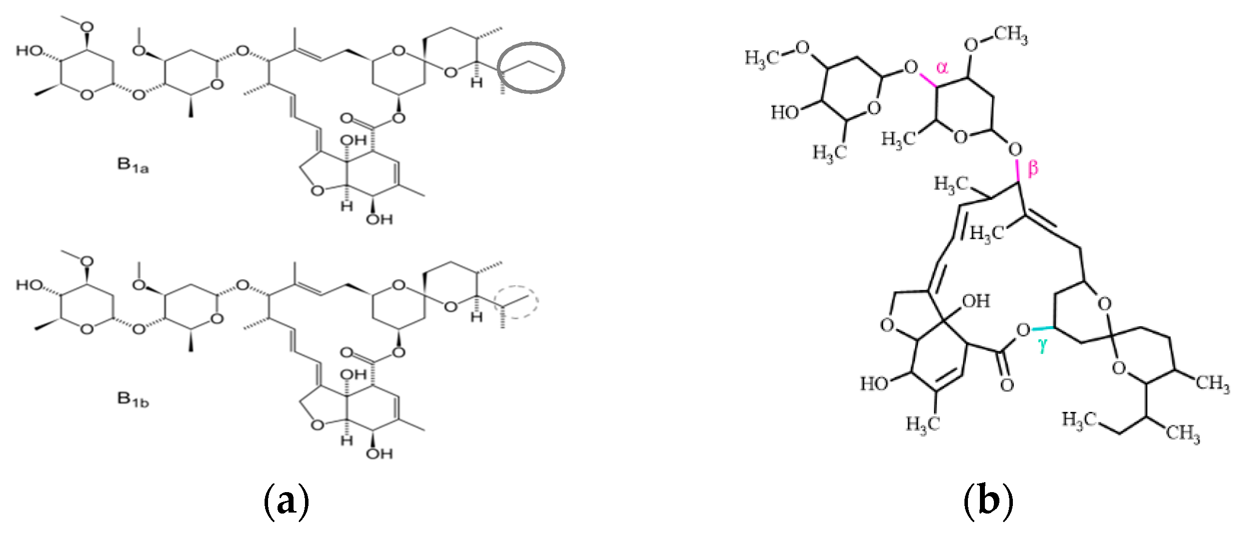 Chemproc 16 00078 g001 Chemproc 16 00078 g001