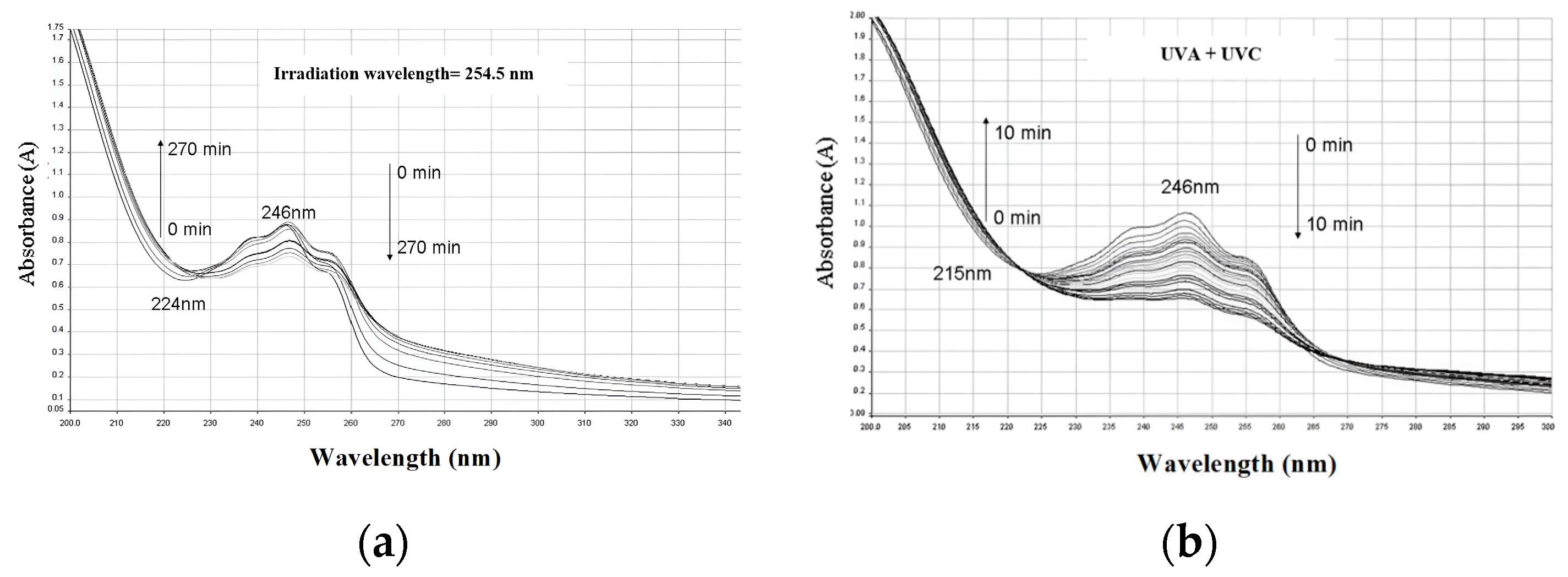 Chemproc 16 00078 g002 Chemproc 16 00078 g002