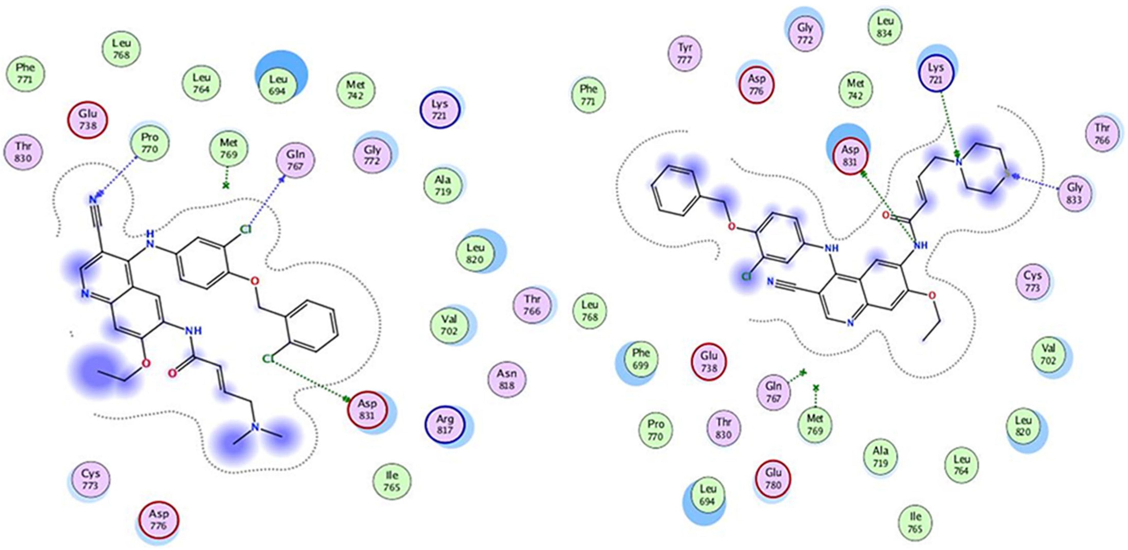 Chemproc 16 00082 g001