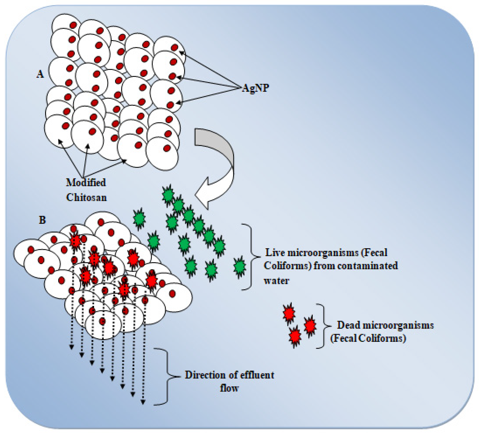 Chemproc 16 00090 g004