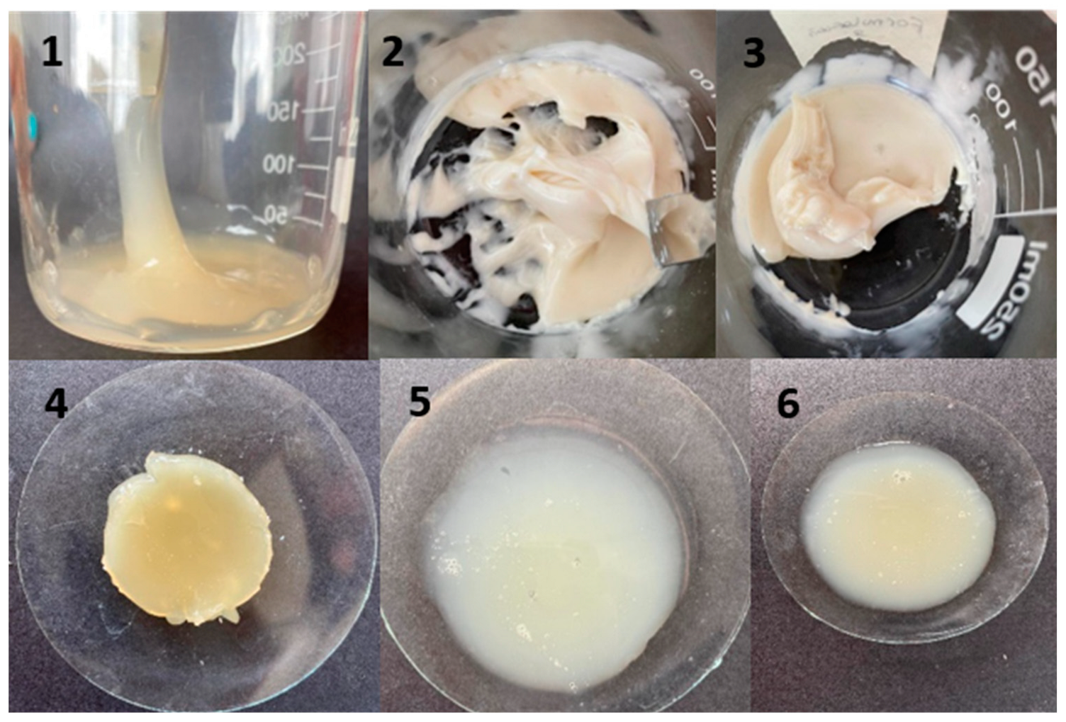 Chemproc 16 00096 g001