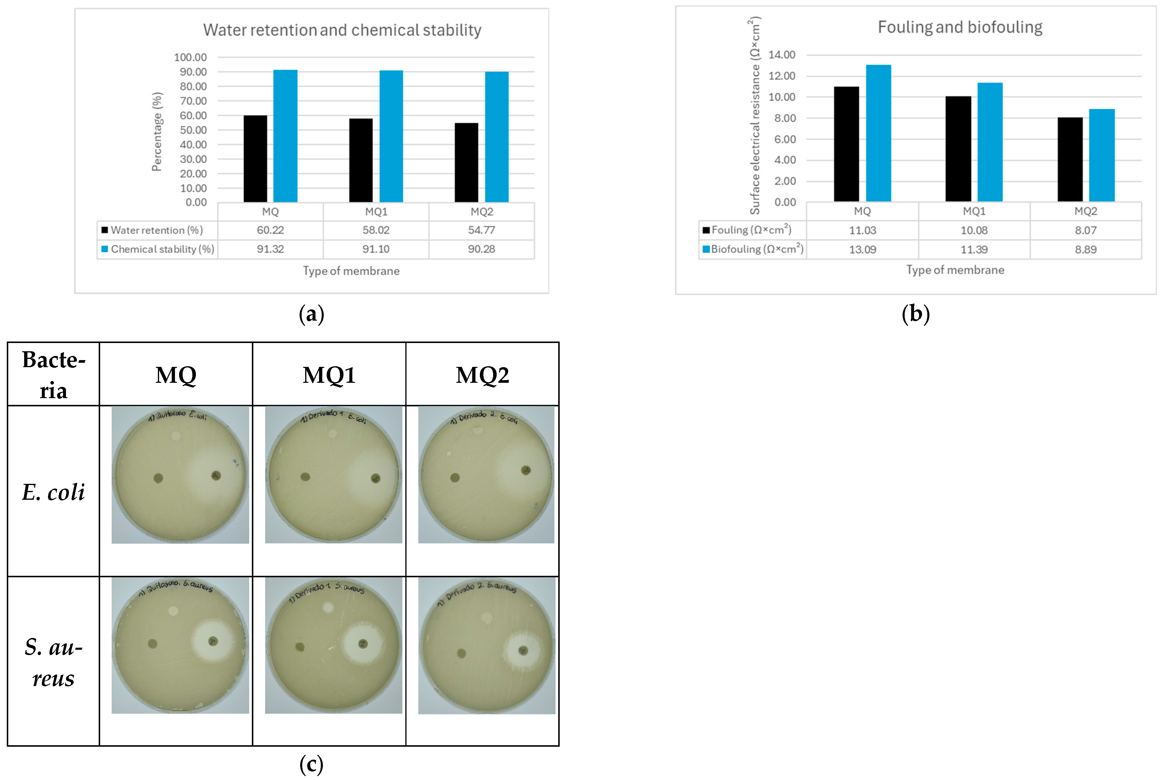 Chemproc 16 00101 g001