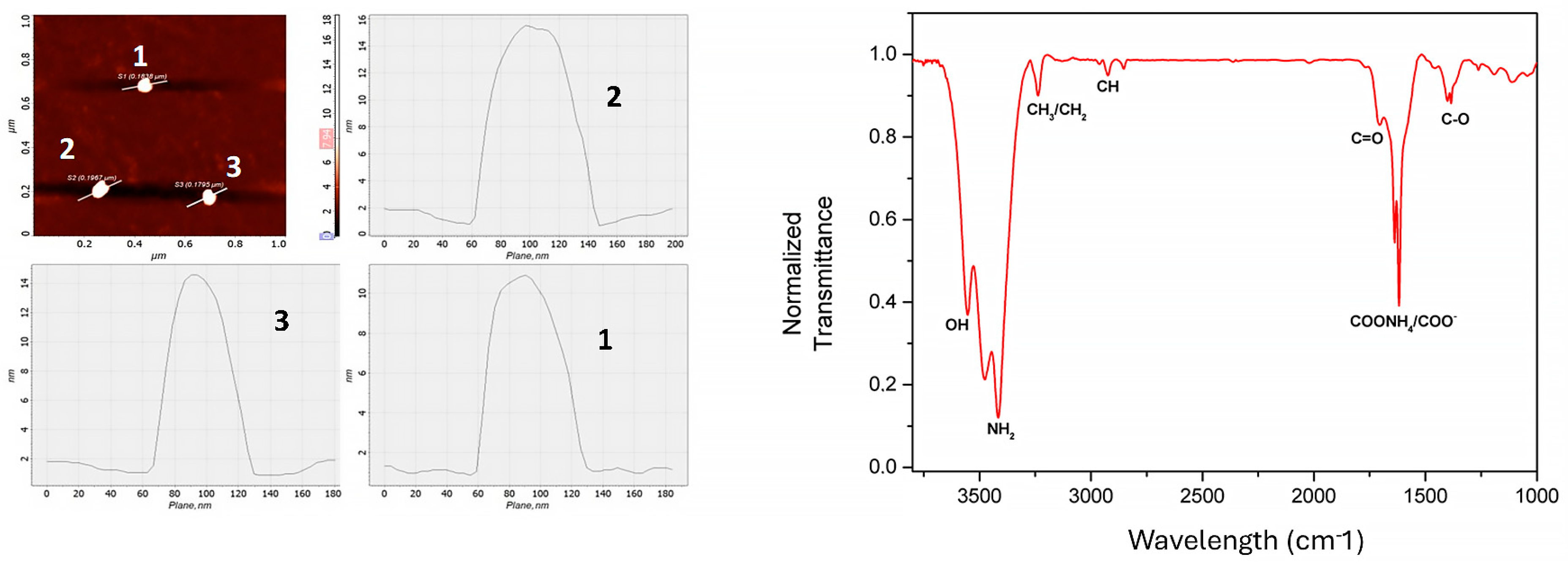 Chemproc 16 00107 g002