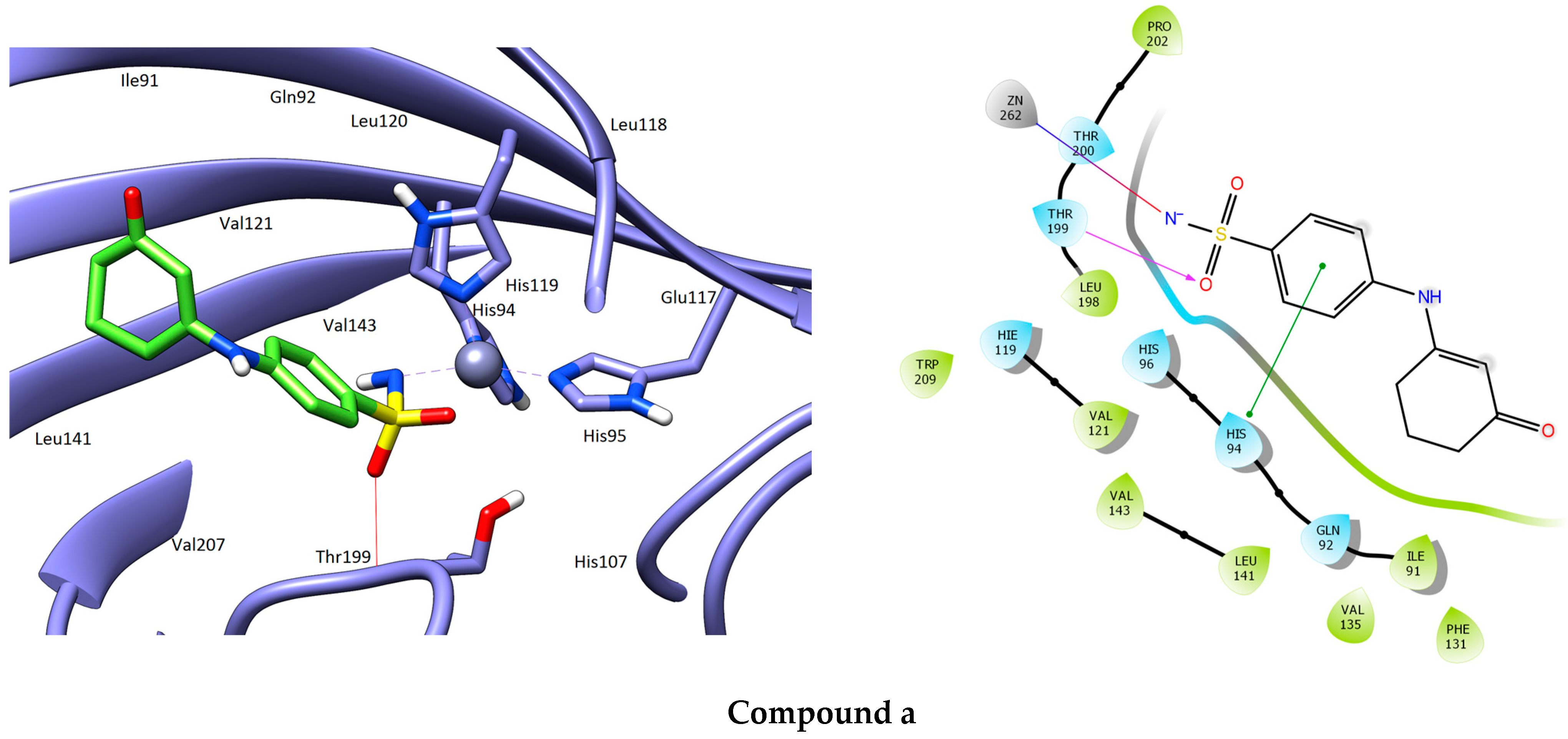 Chemproc 16 00117 g002a