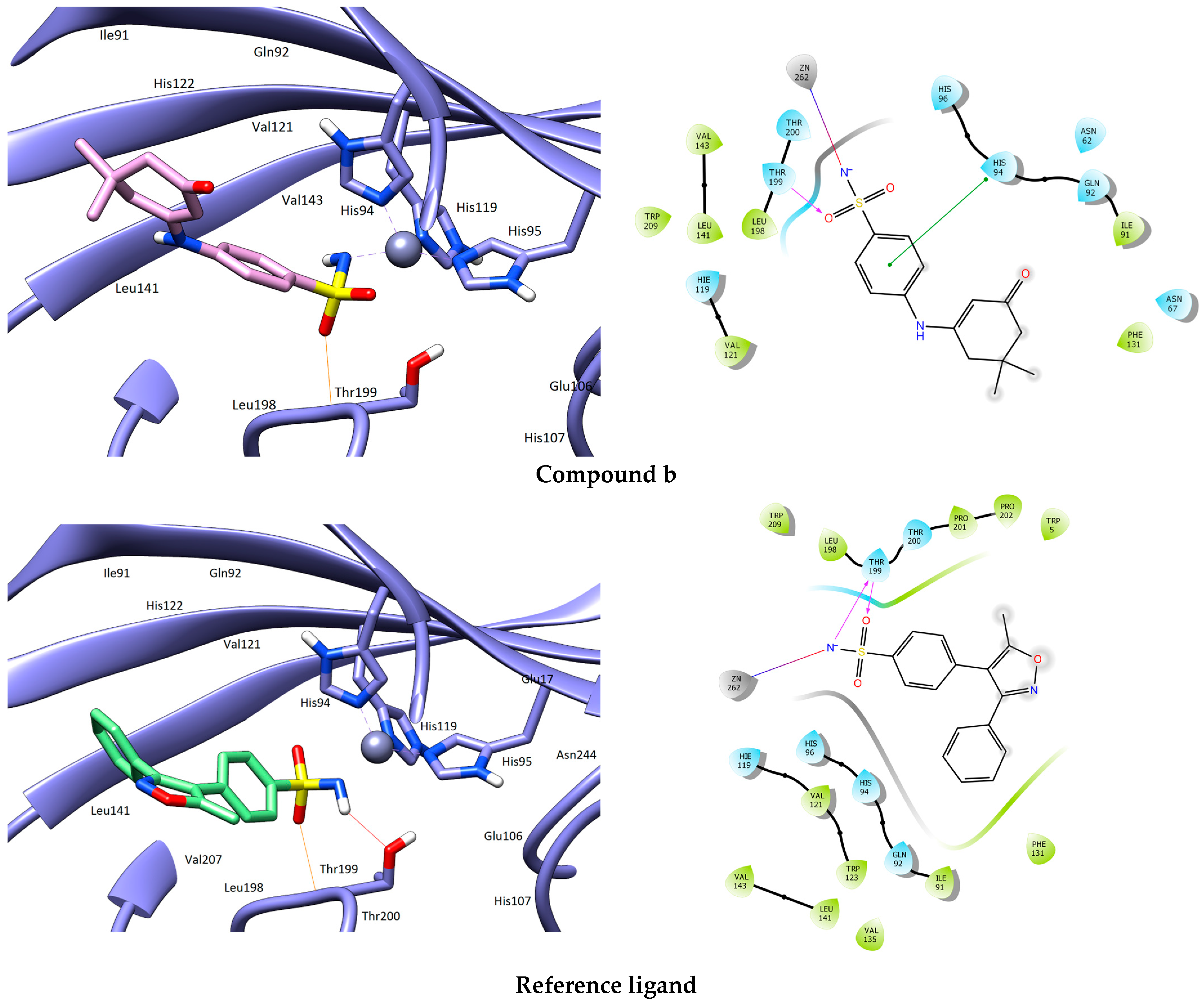 Chemproc 16 00117 g002b