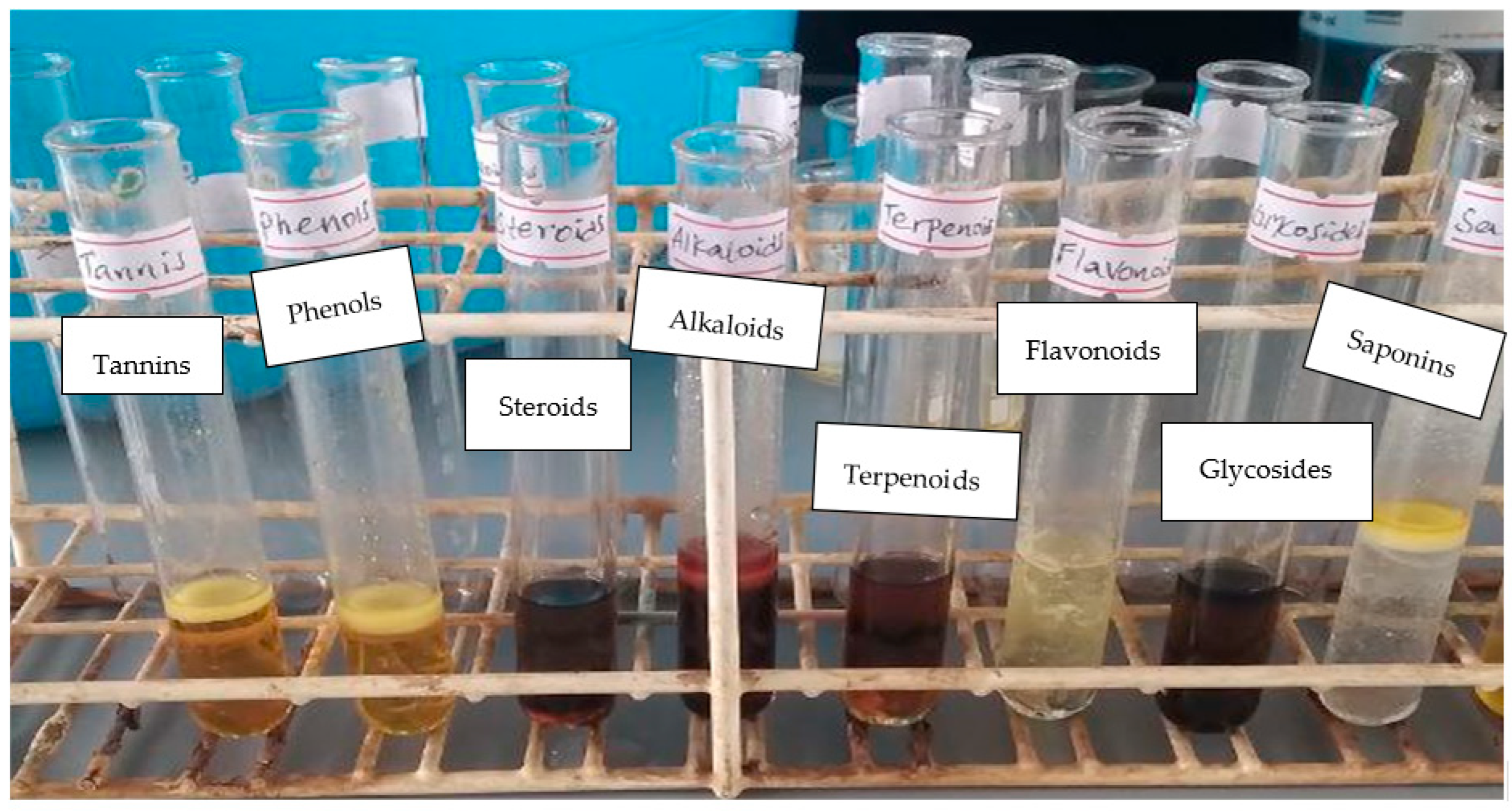 Chemproc 17 00011 g001 Chemproc 17 00011 g001