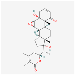 Chemproc 18 00007 i003