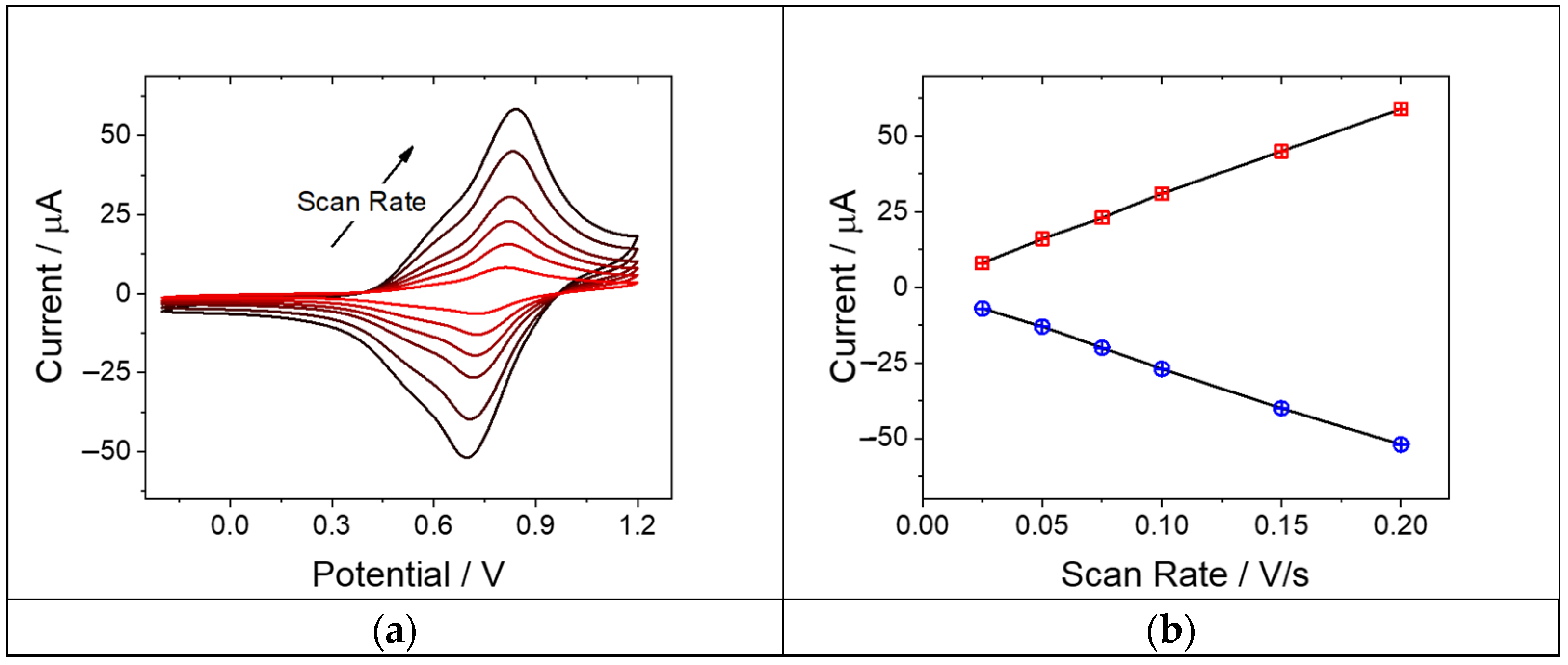 Chemproc 18 00029 g002