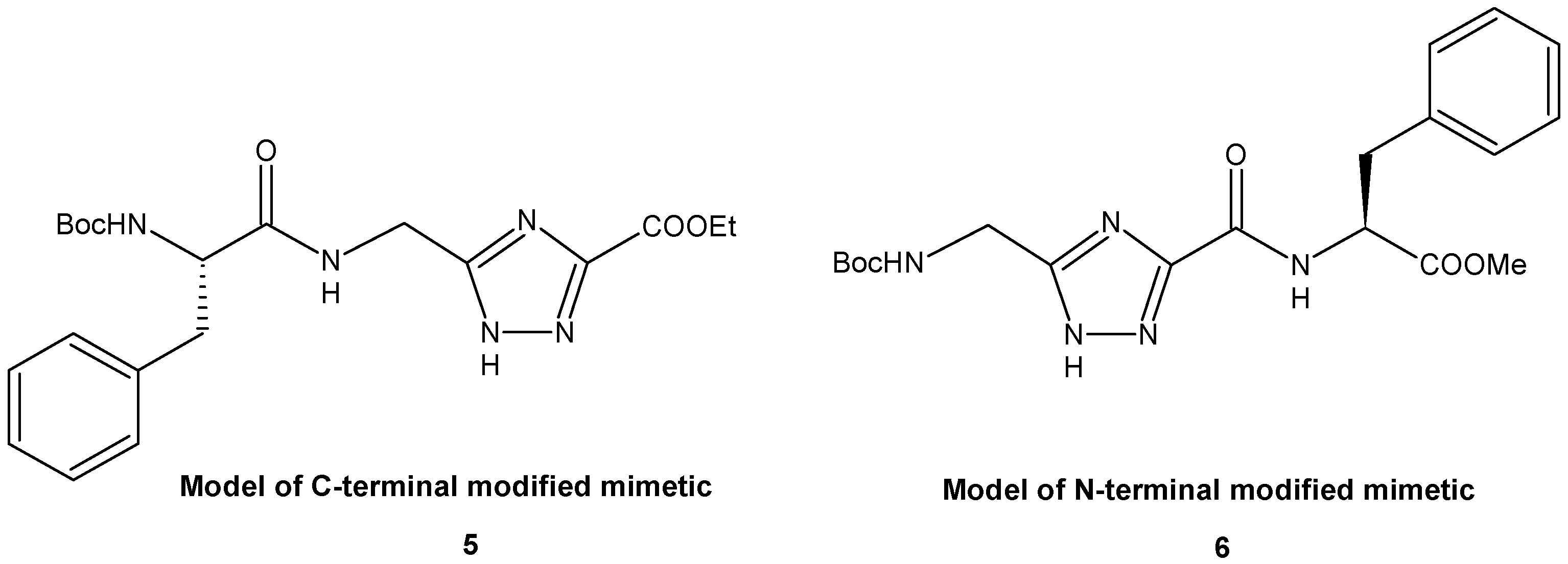 Chemproc 18 00055 g001