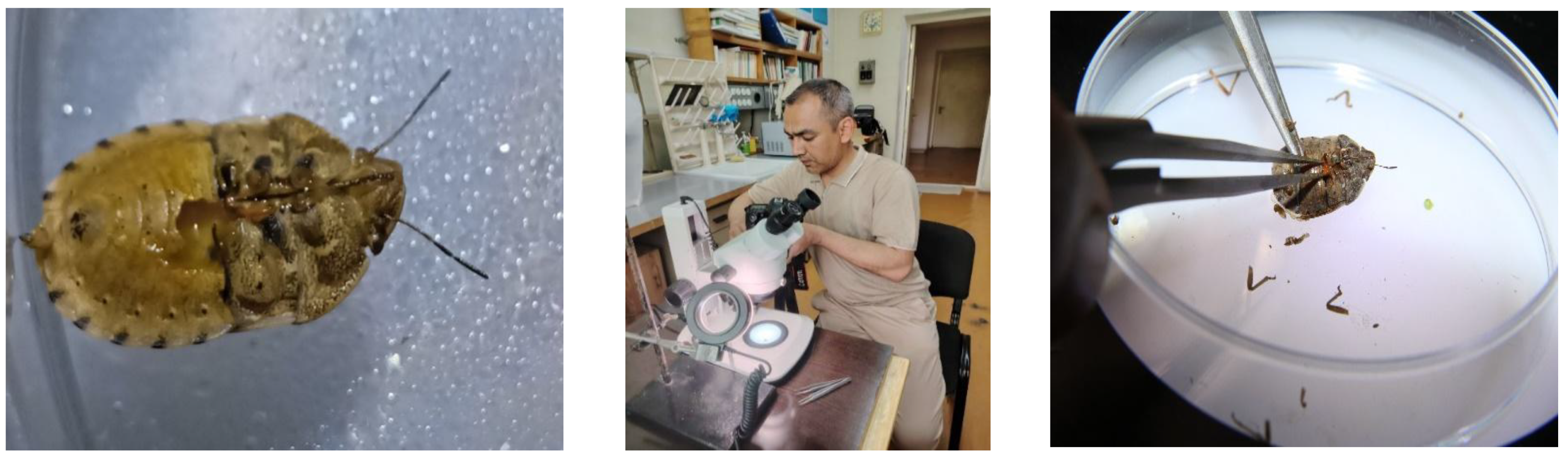 Chemproc 18 00057 g003