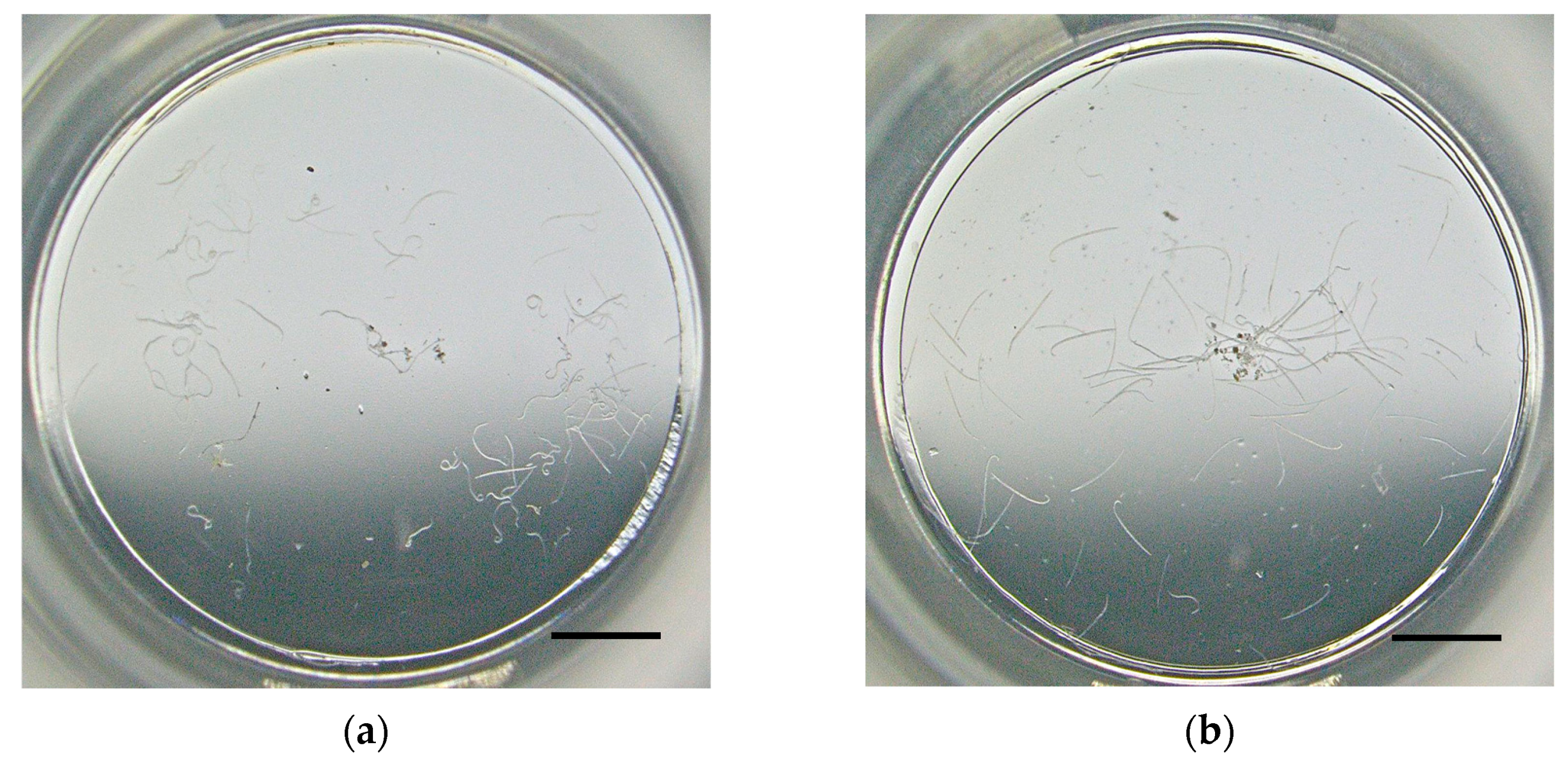 Chemproc 18 00061 g001