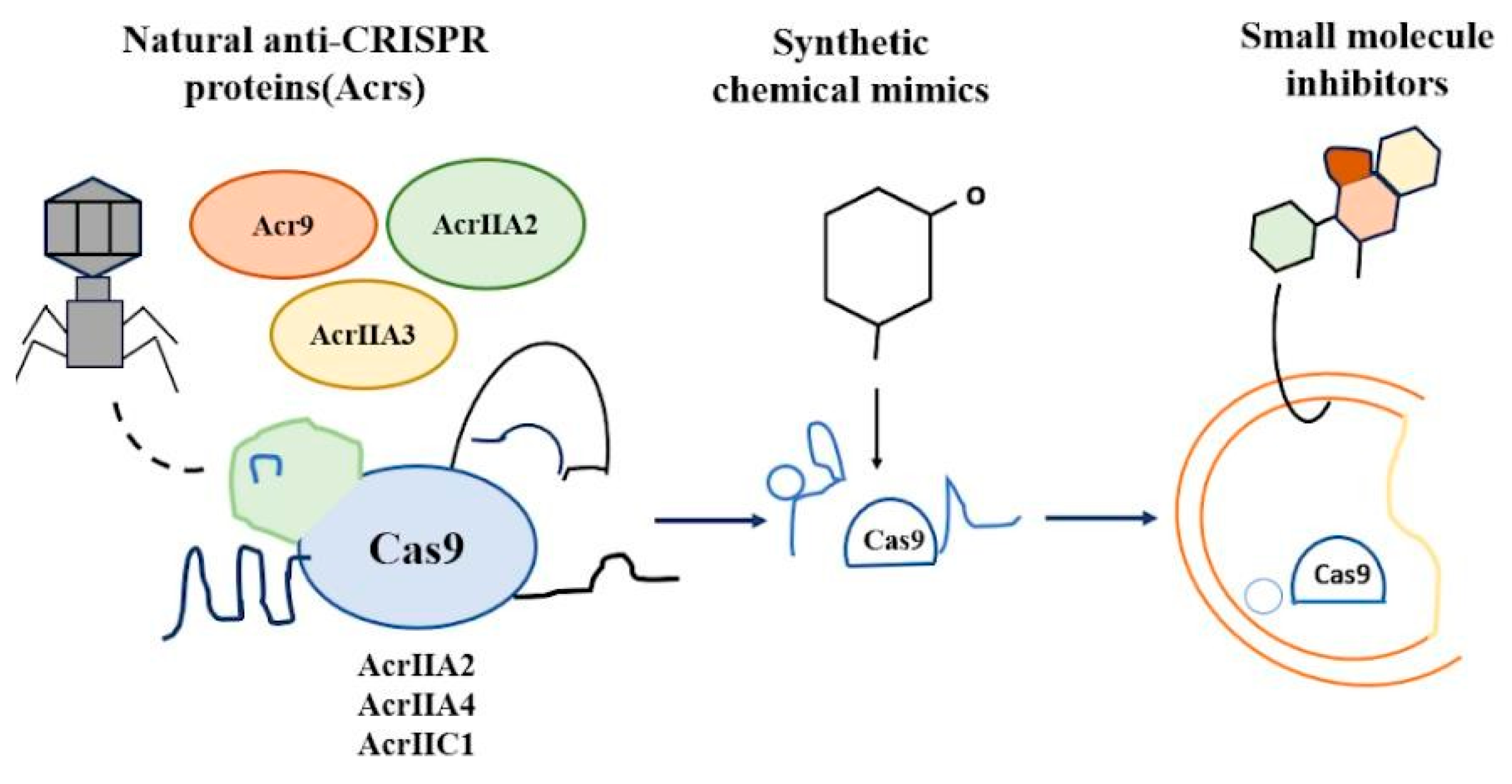 Chemproc 18 00069 g001