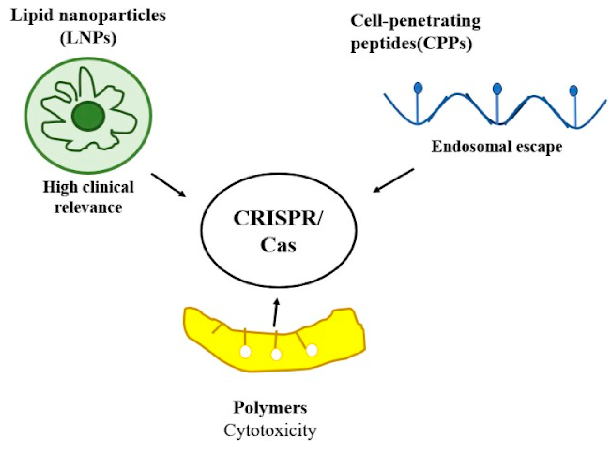 Chemproc 18 00069 g002