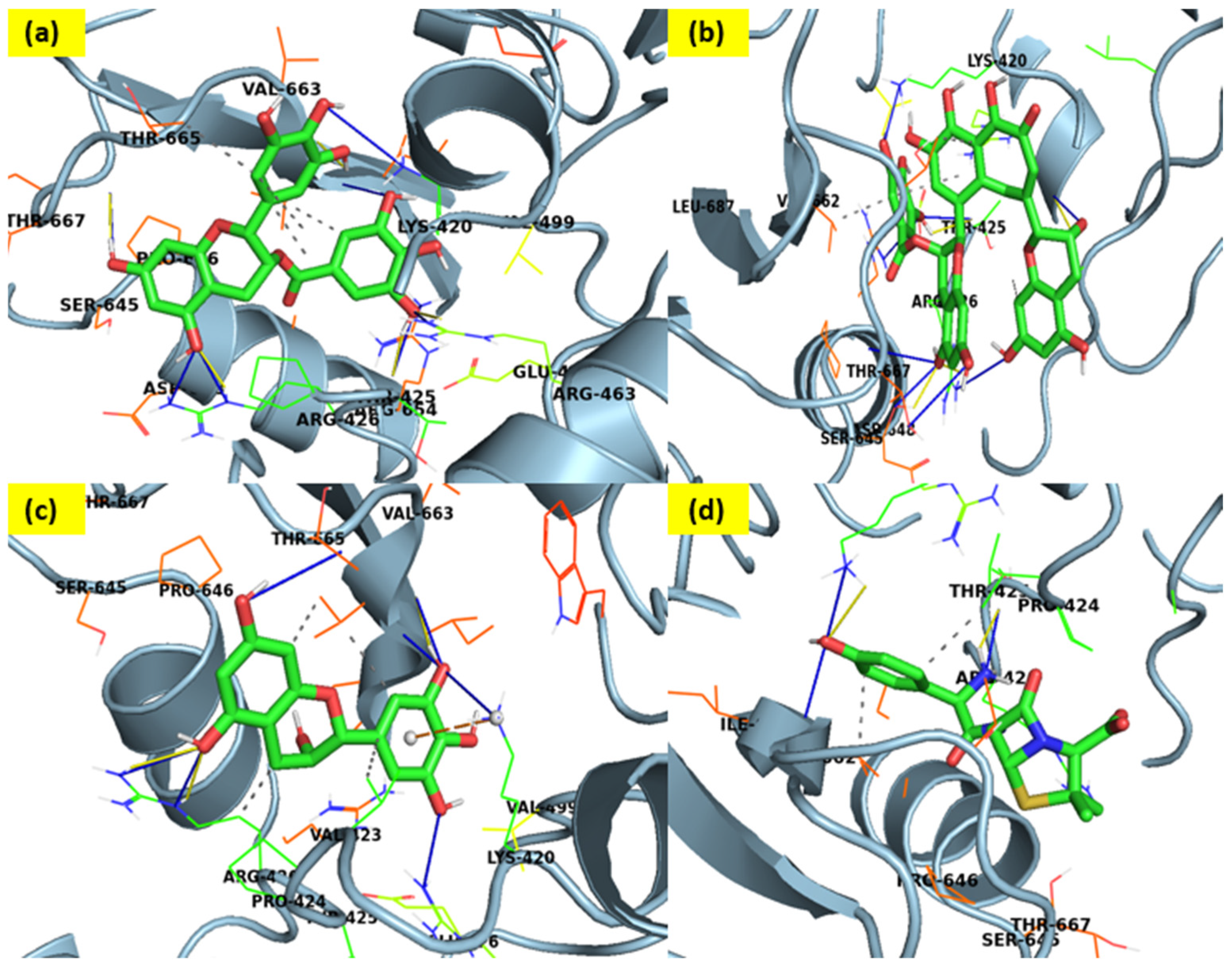 Chemproc 18 00089 g002
