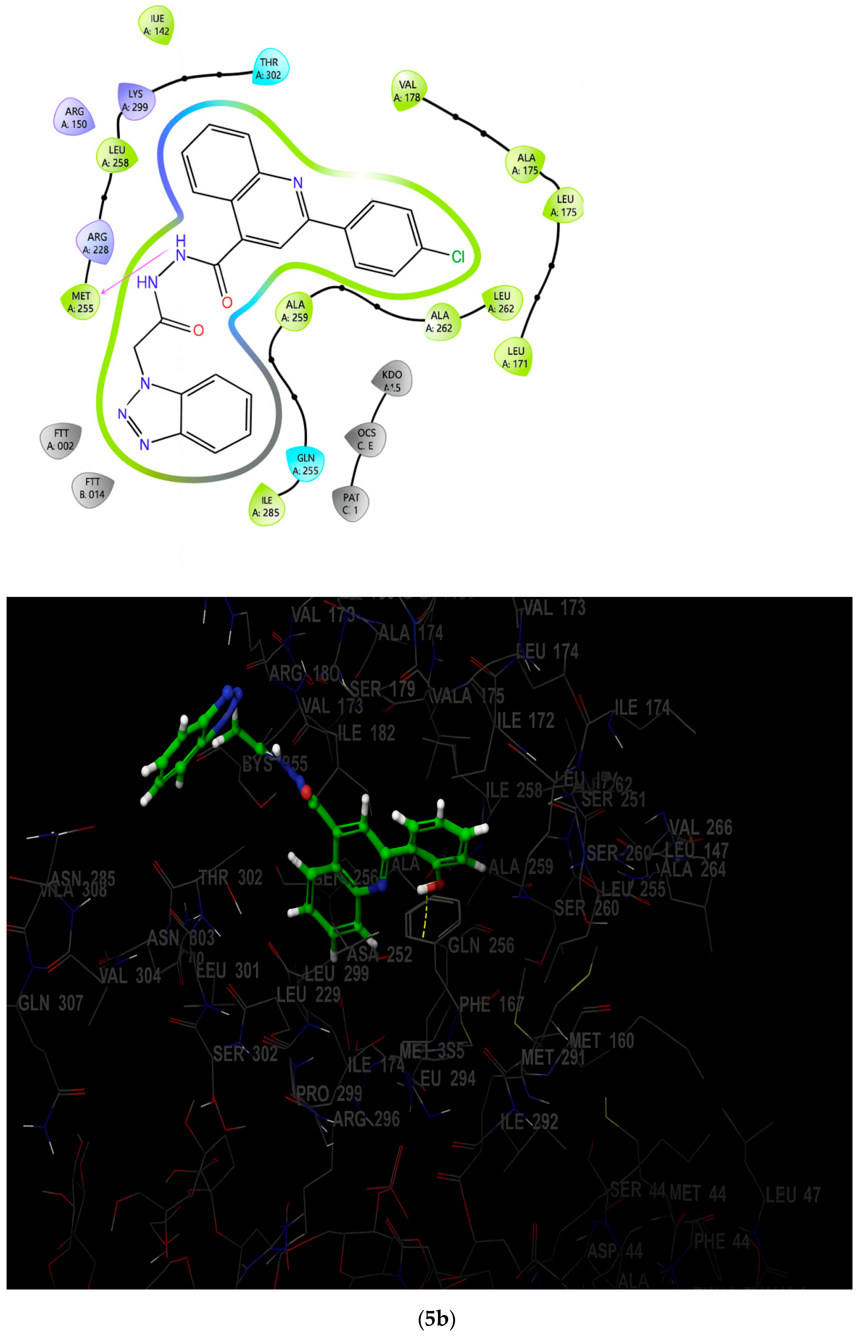 Chemproc 18 00135 g007b