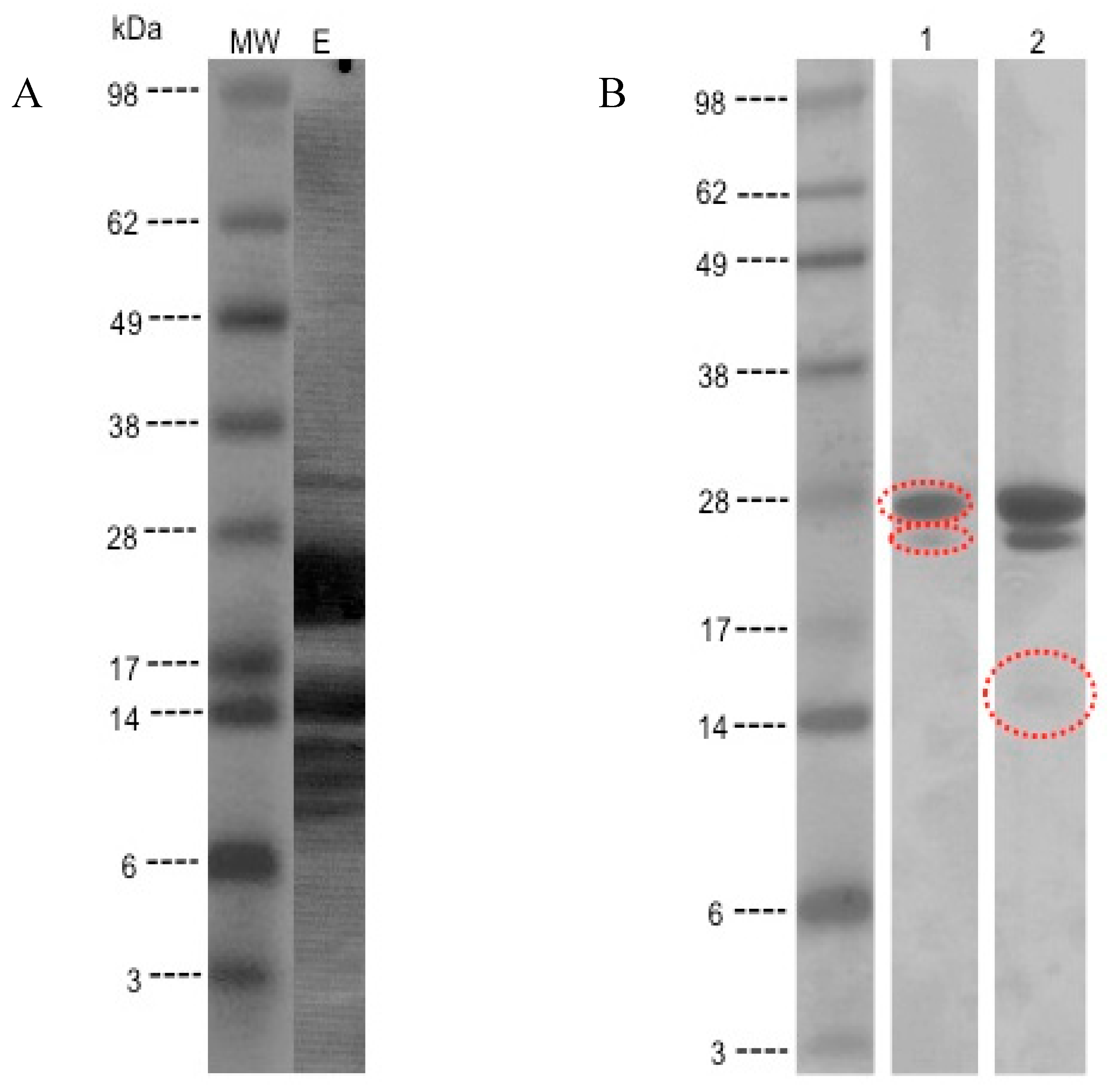 Children 02 00424 g001