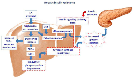 The Role of Lipid and Lipoprotein Metabolism in Non The Role of Lipid and Lipoprotein Metabolism in Non