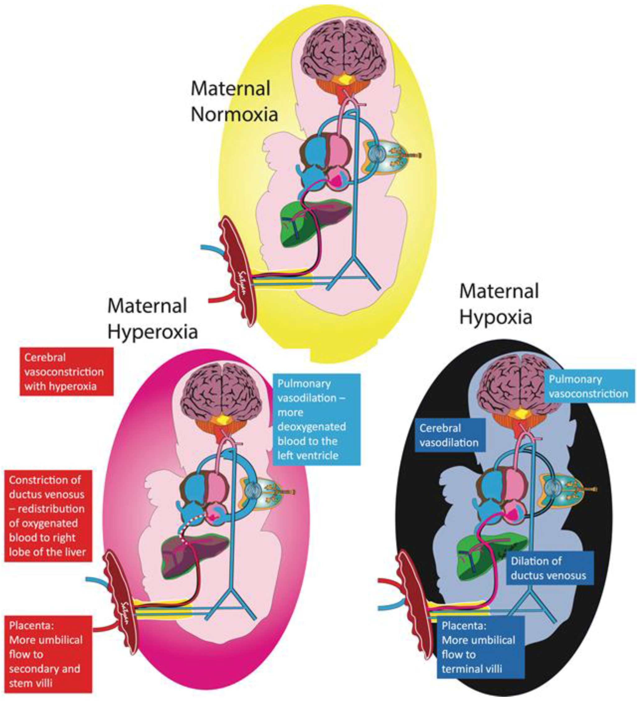 Children 04 00067 g002
