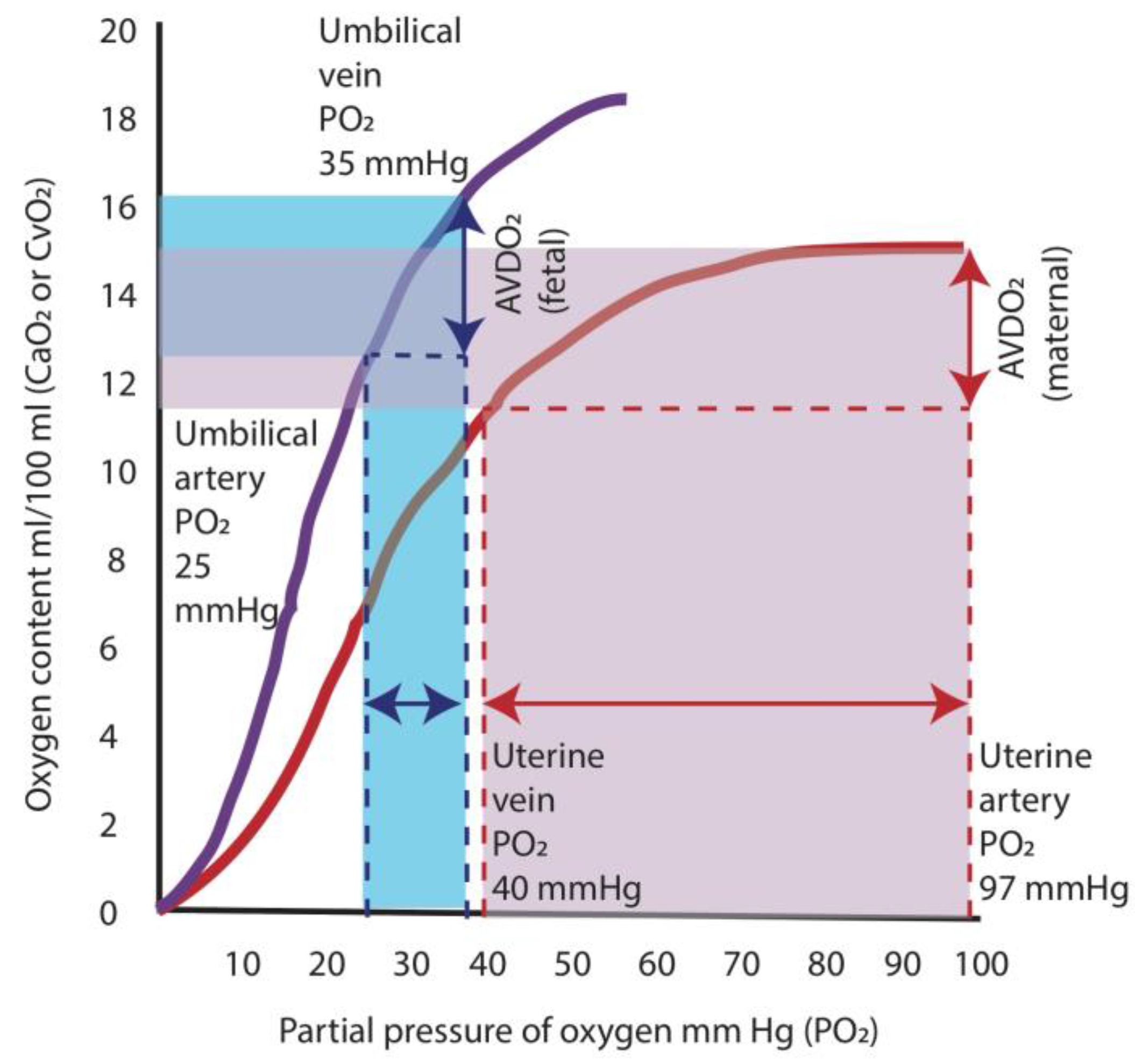 Children 04 00067 g004