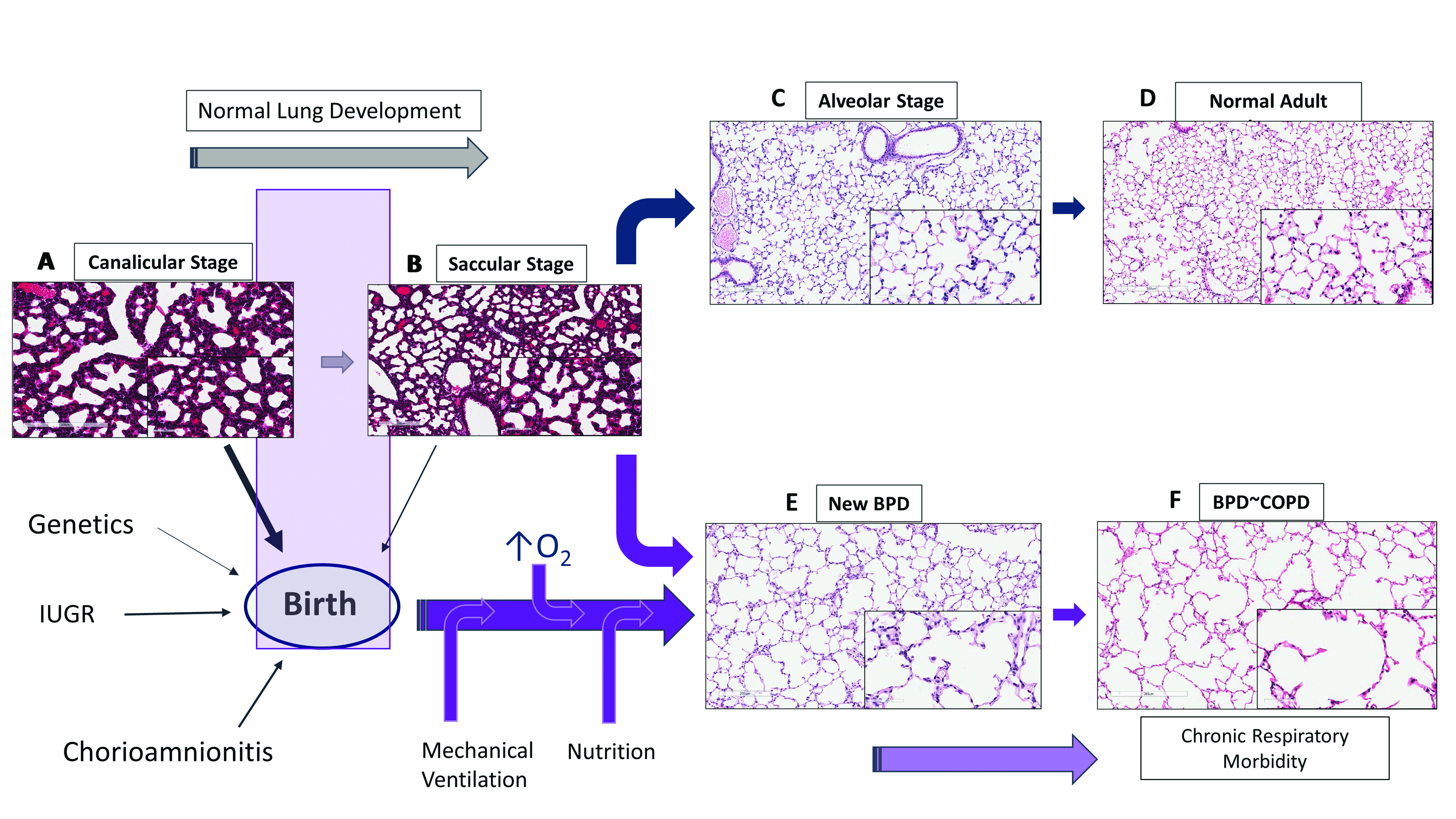 Children 04 00075 g001 550