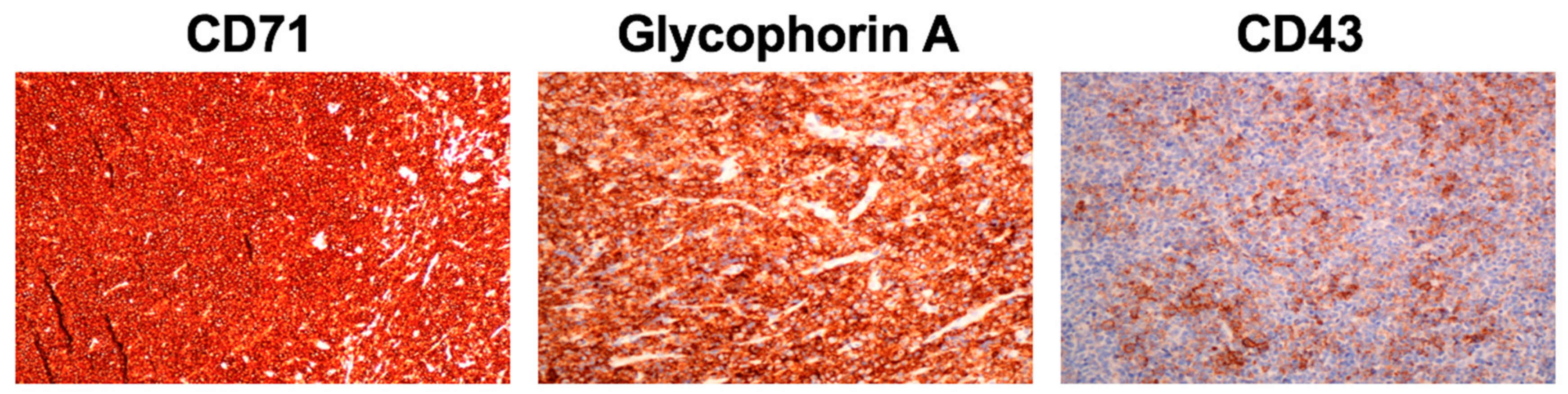 Children 04 00113 g003 550