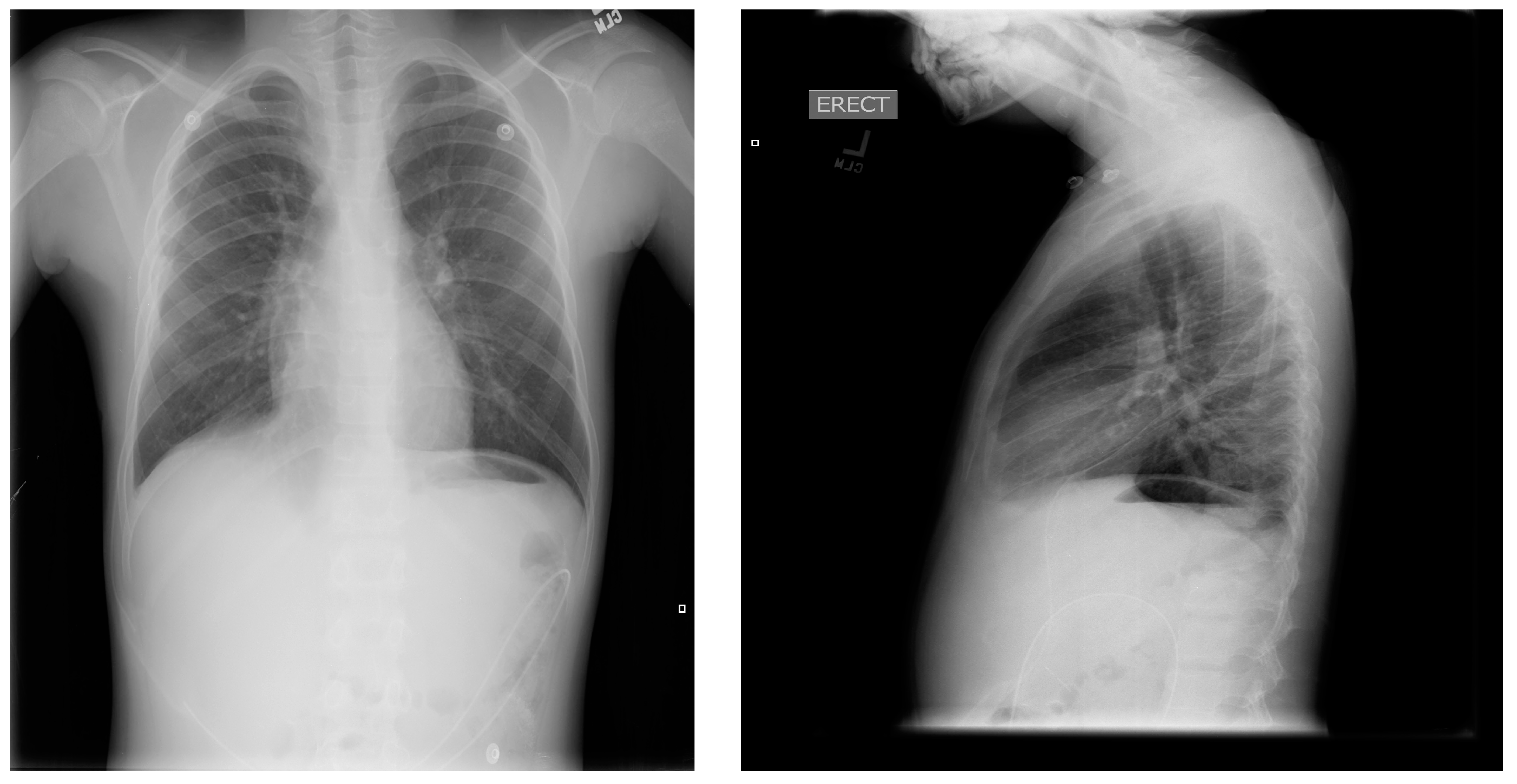 Children 05 00007 g006 550