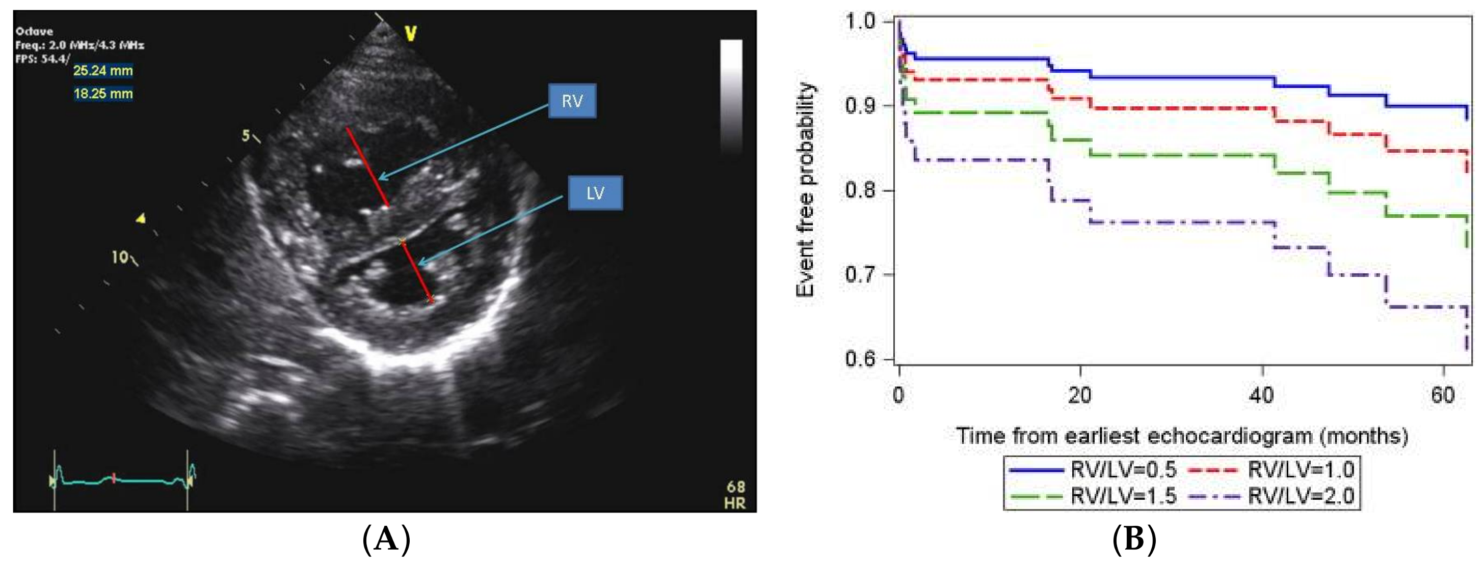 Children 05 00044 g006 Children 05 00044 g006