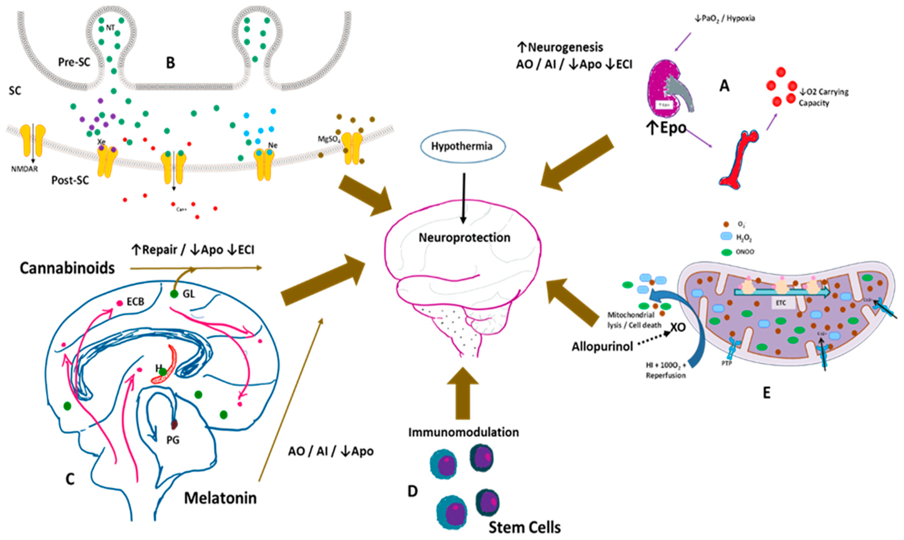 Children 05 00099 g002 Children 05 00099 g002