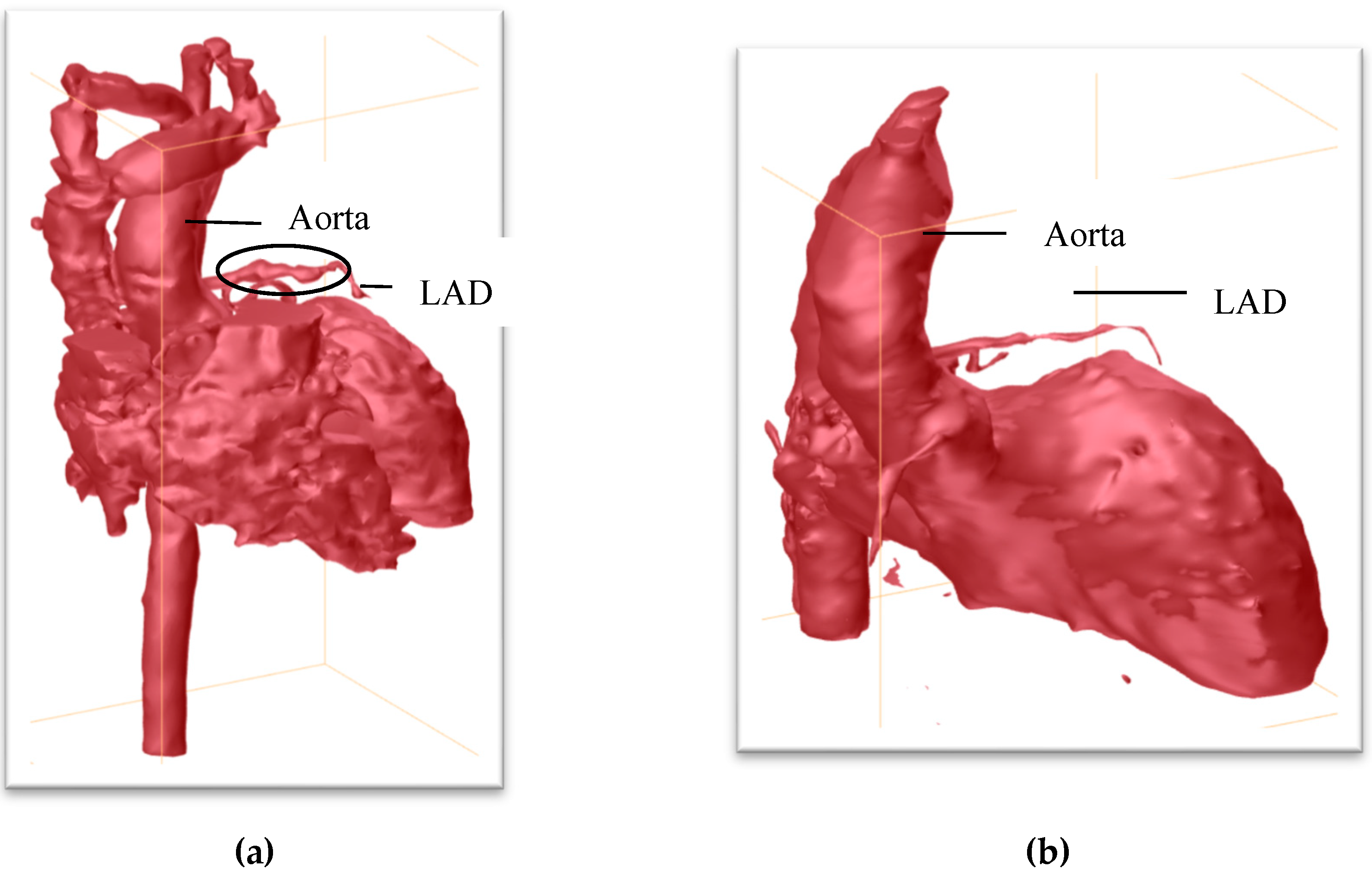 Children 05 00155 g001 550