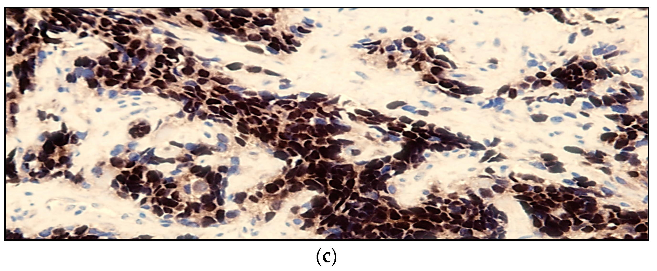 Children 05 00165 g002b Children 05 00165 g002b