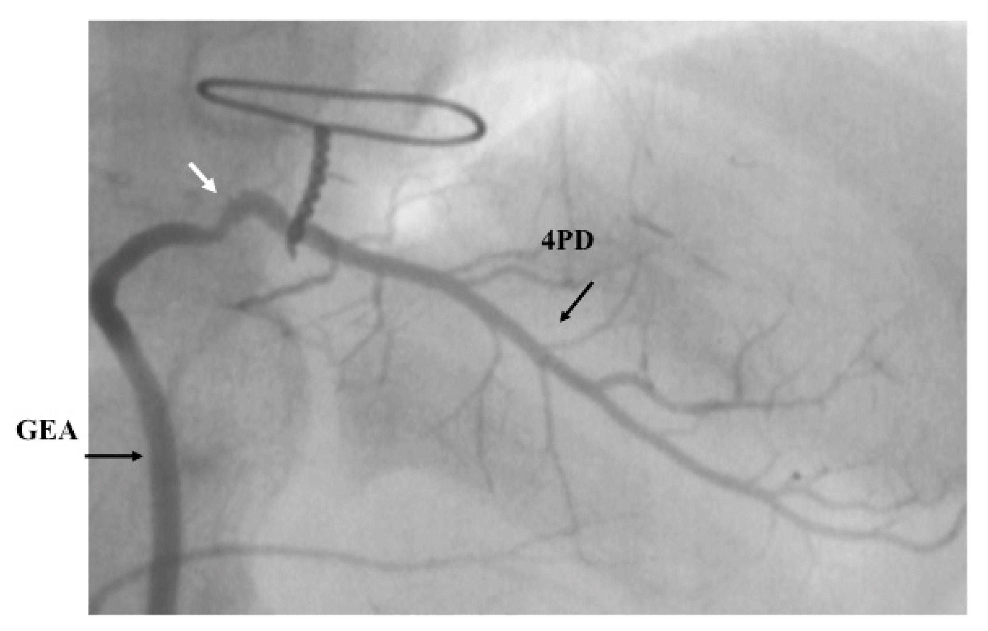 Children 06 00016 g004