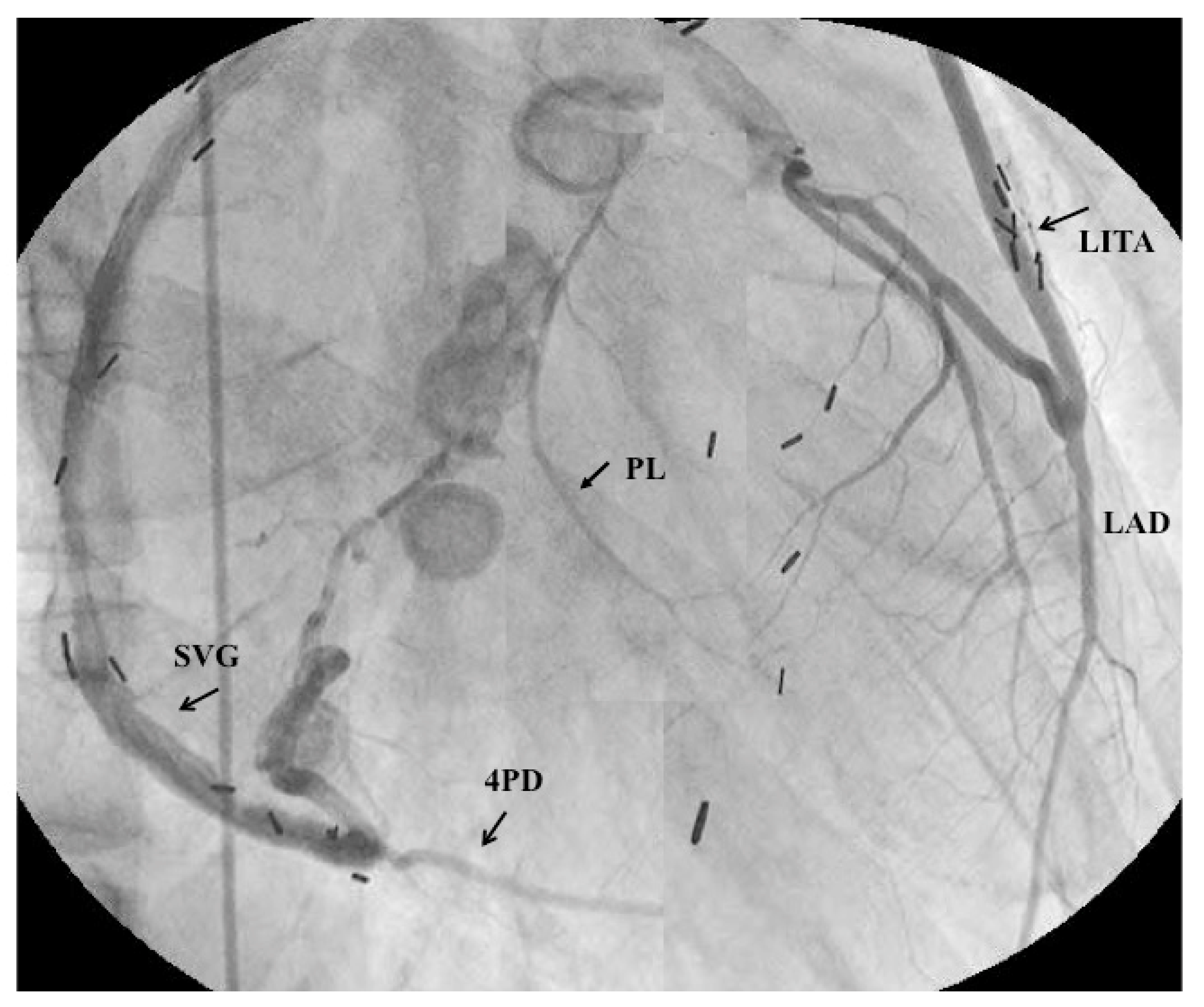 Children 06 00016 g005