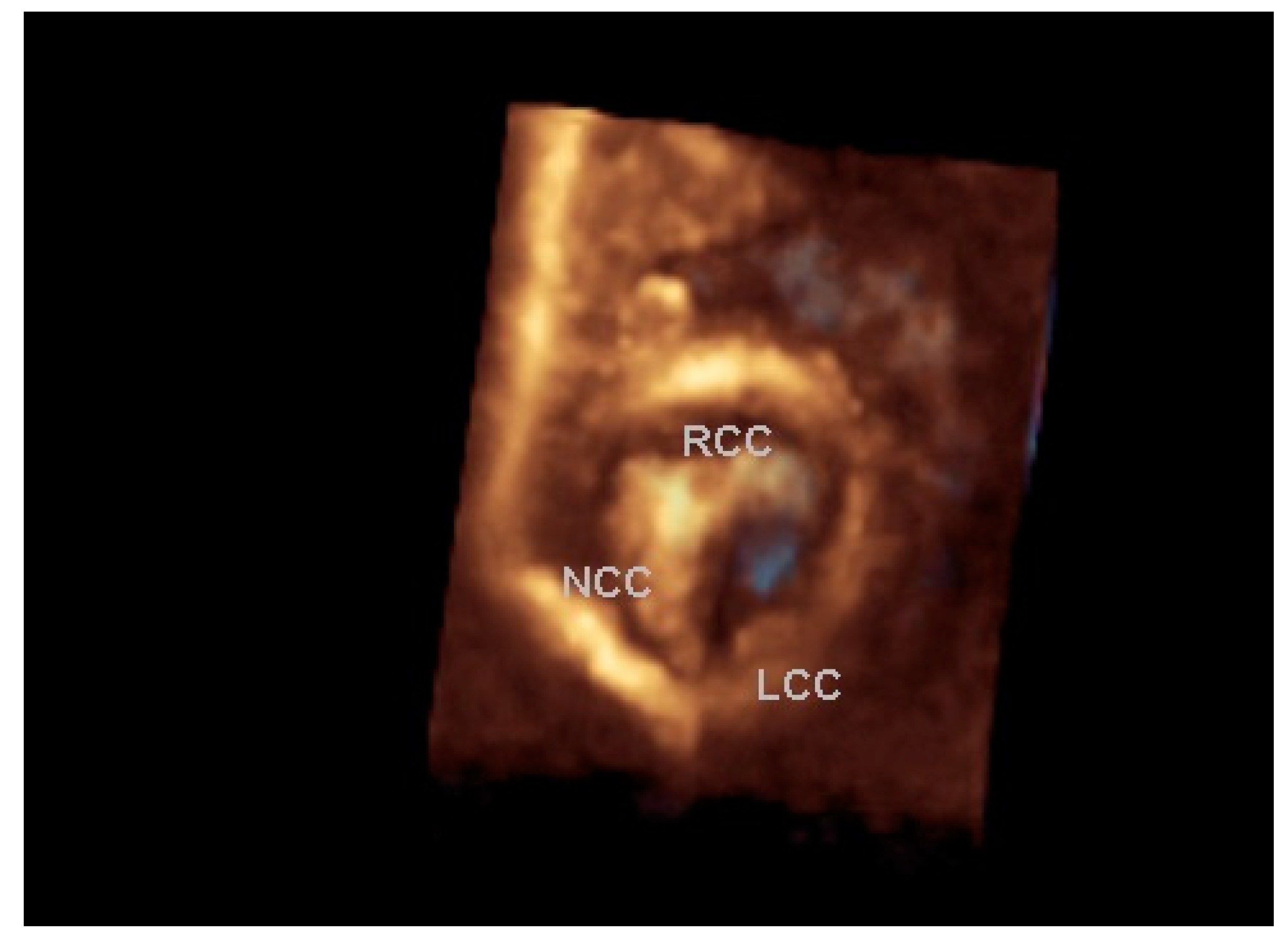 Children 06 00069 g001