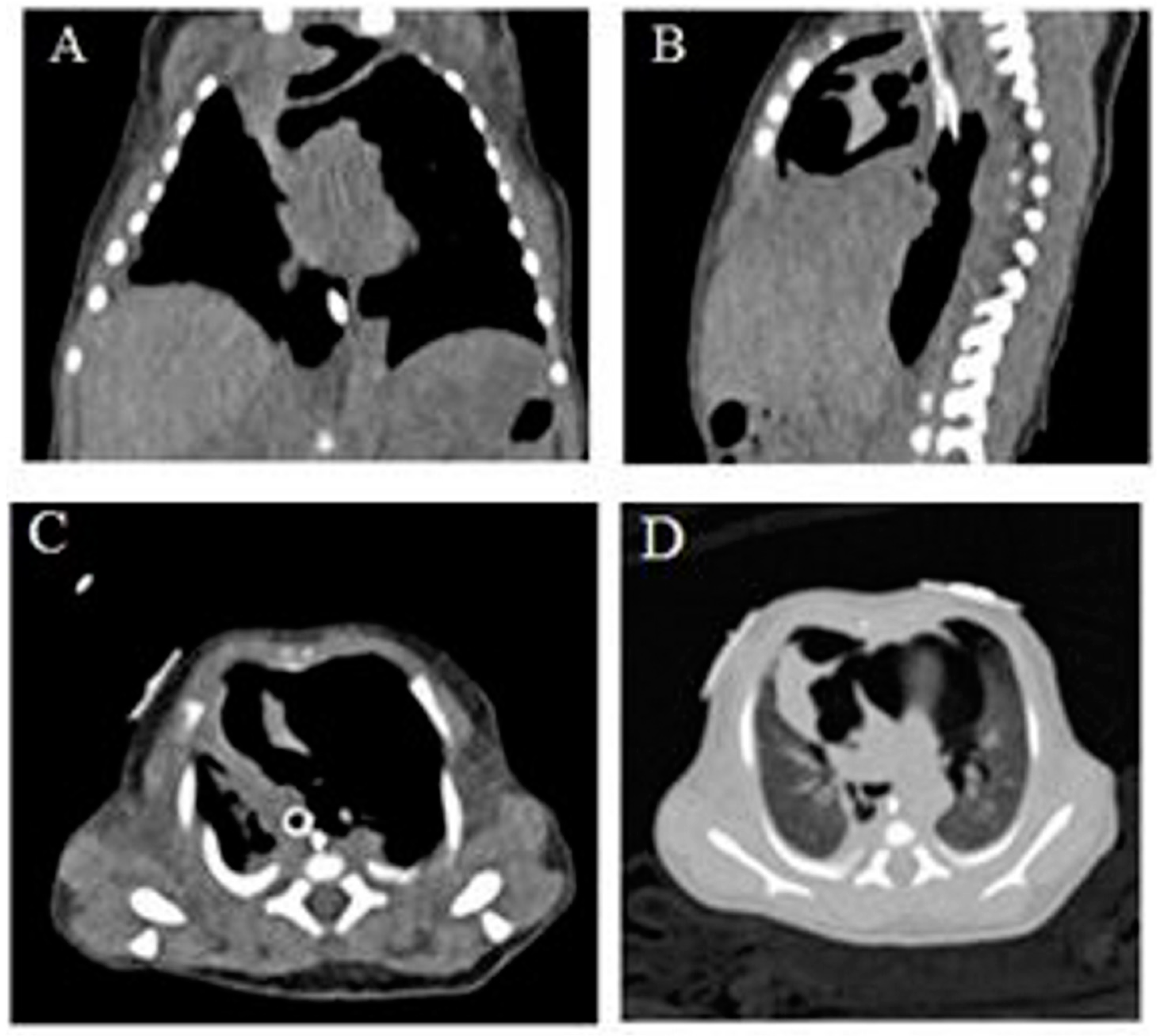 Children 06 00104 g002